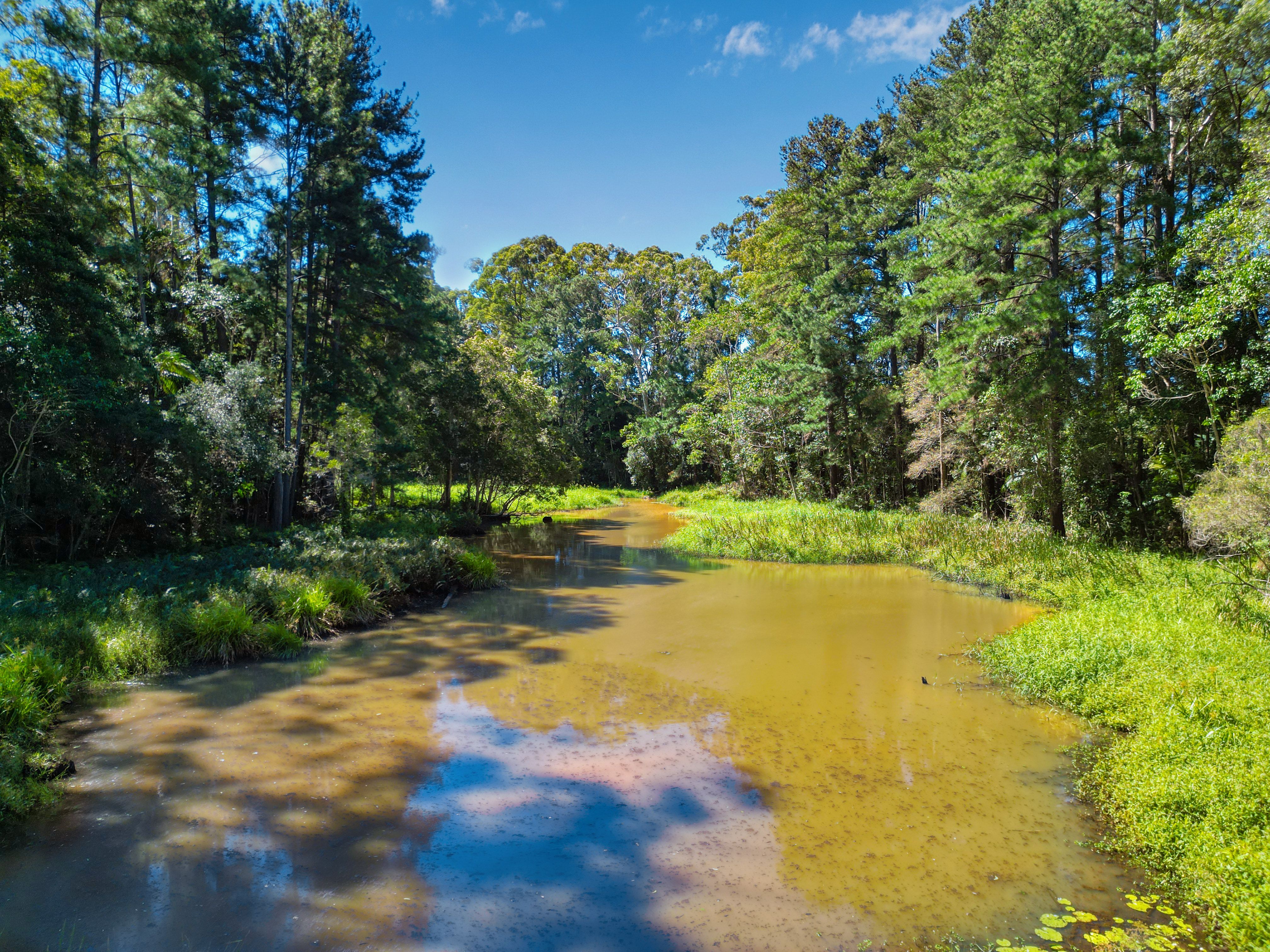 Lot 1 Peachester Road, Beerwah, QLD 4519 Land for Sale Ray White