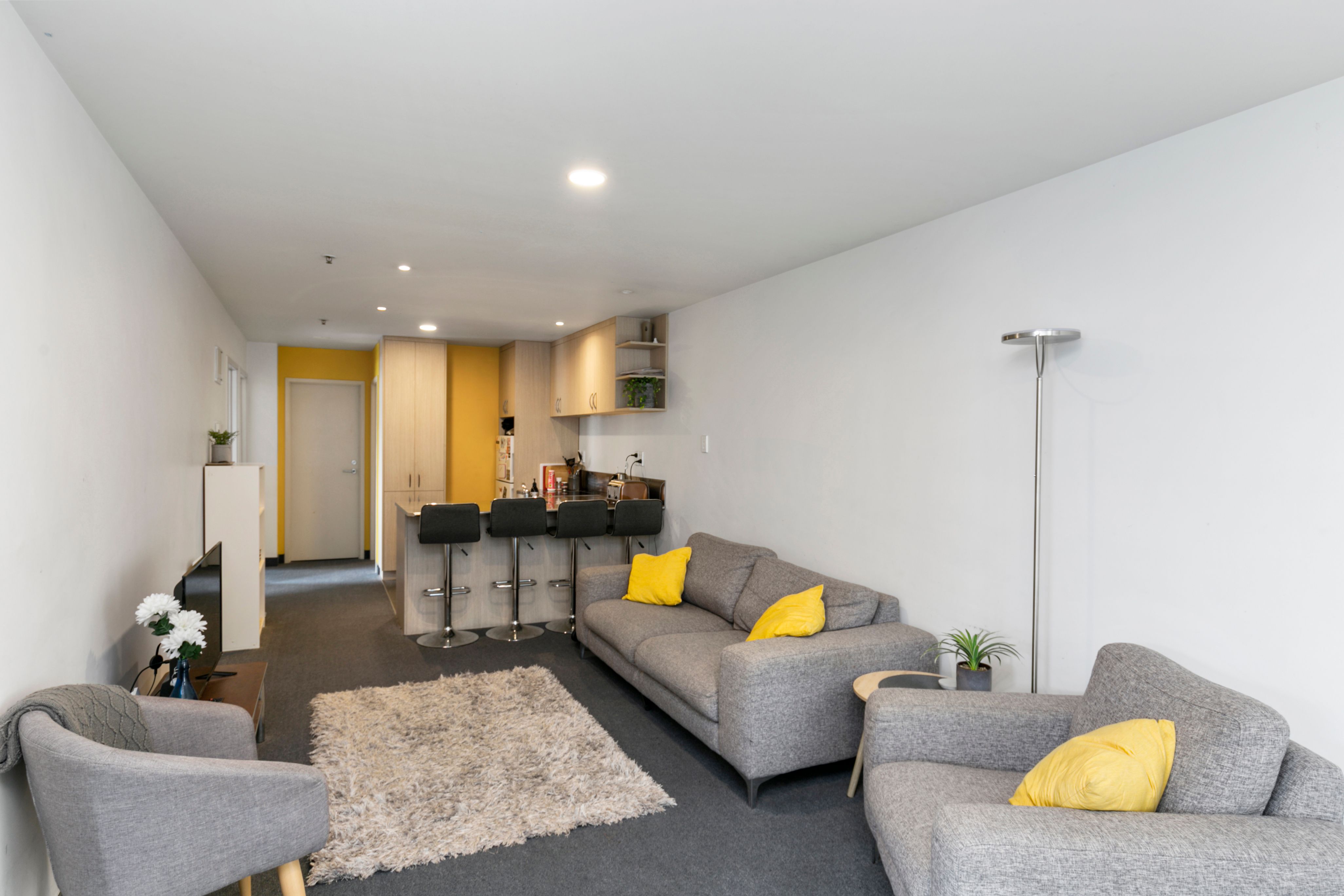 3A/27 Hanson Street, Mount Cook, Wellington City