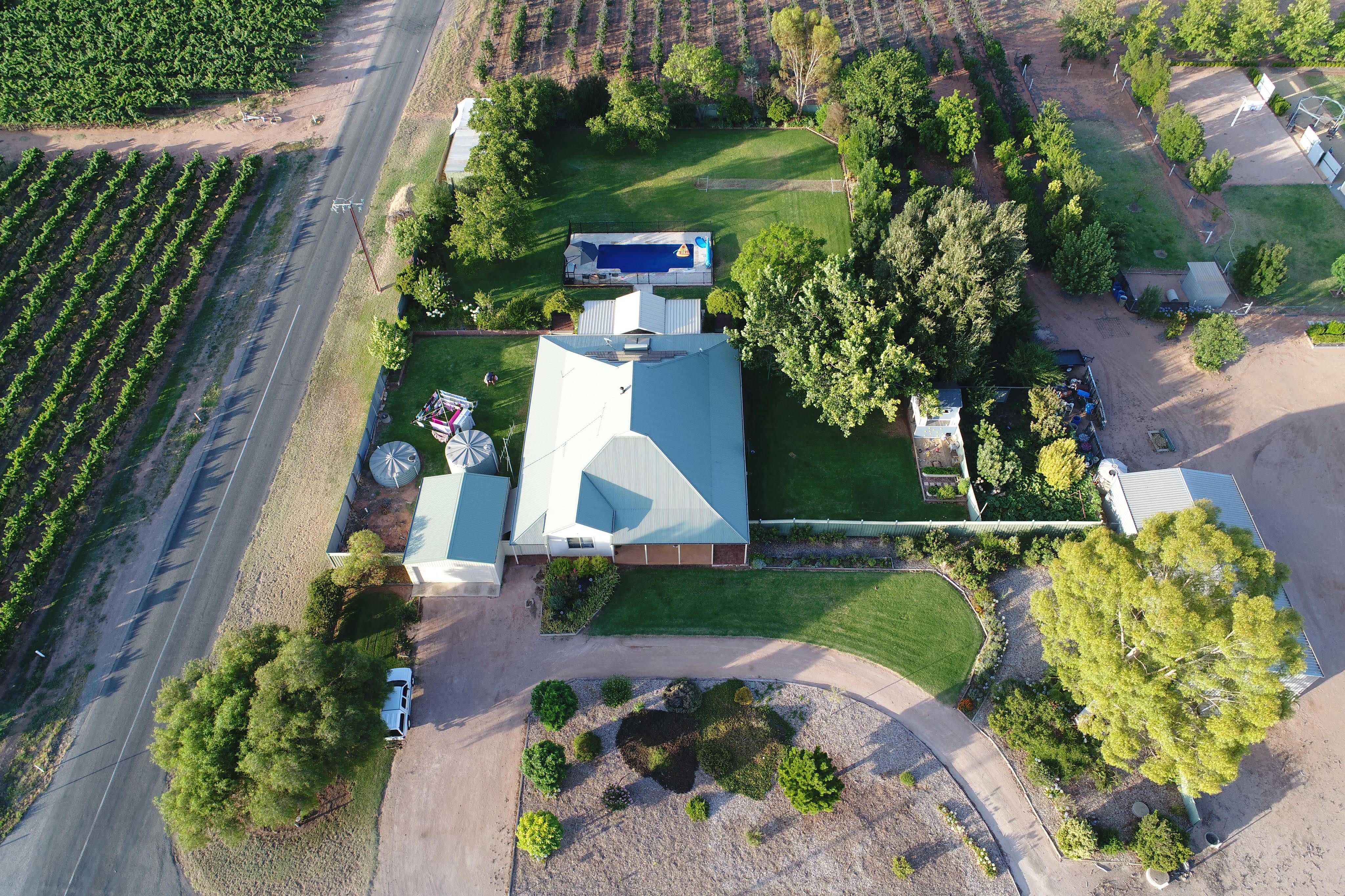 104 Rialto Street, Renmark, SA 5341