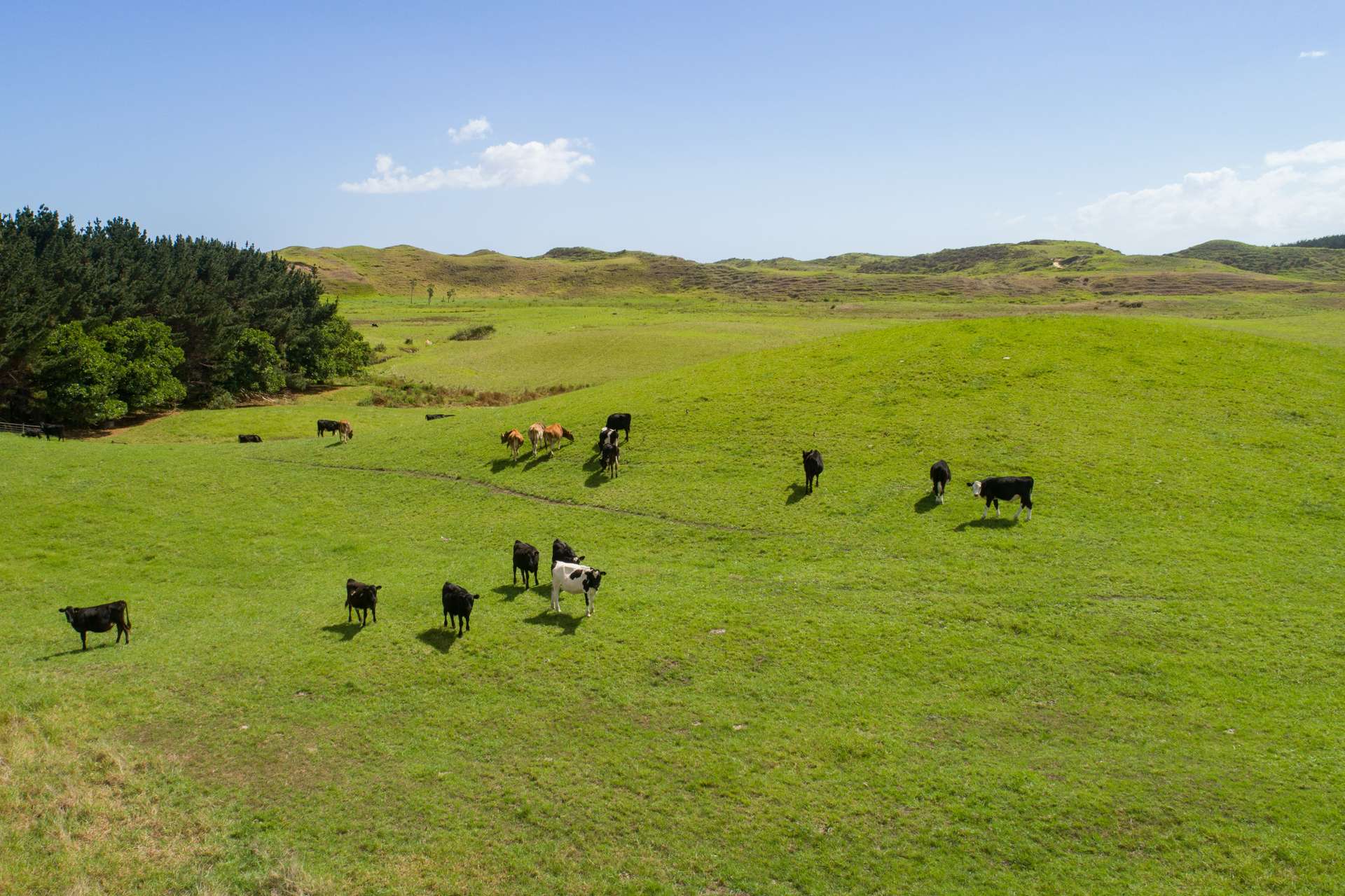 Ahipara  Far North District  0481 photo 2