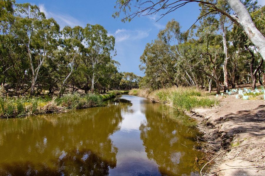 Lot 101, 26 Rowells Road, Lockleys, SA 5032