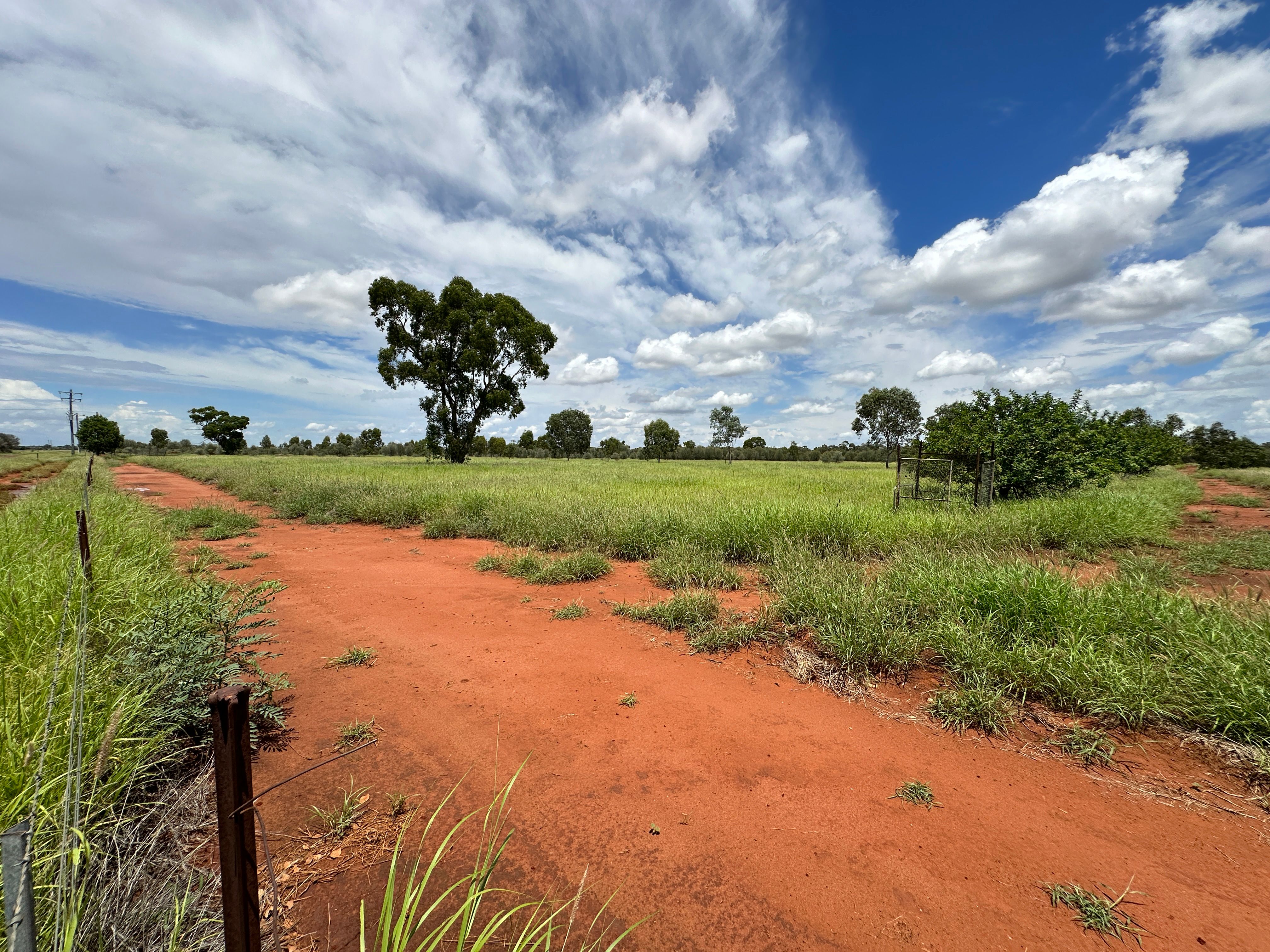 199 Albert Park, Charleville, QLD 4470 Rural Lifestyle Property for