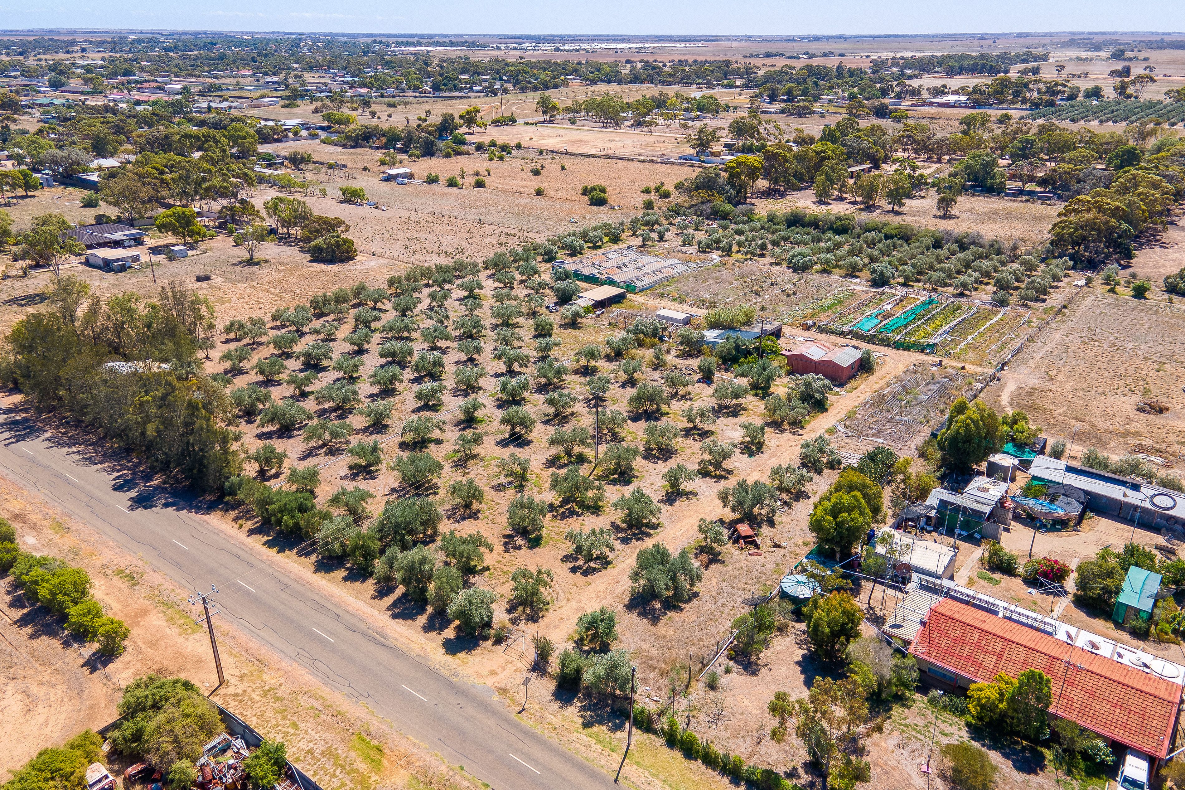 3 McCord Road, Two Wells, SA 5501