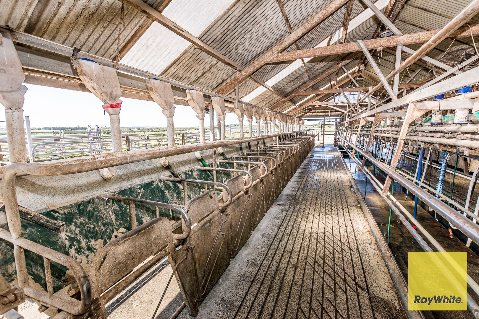 Outstanding Dairy Opportunity — photo 14 of 30