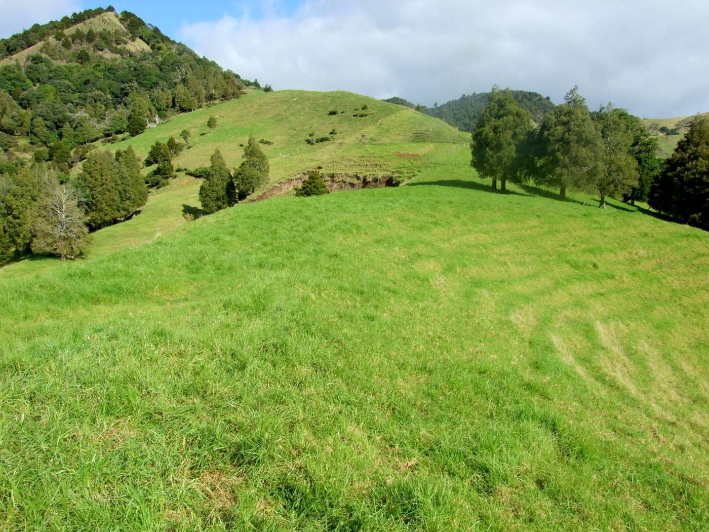 185 Takahue Saddle Road photo 7