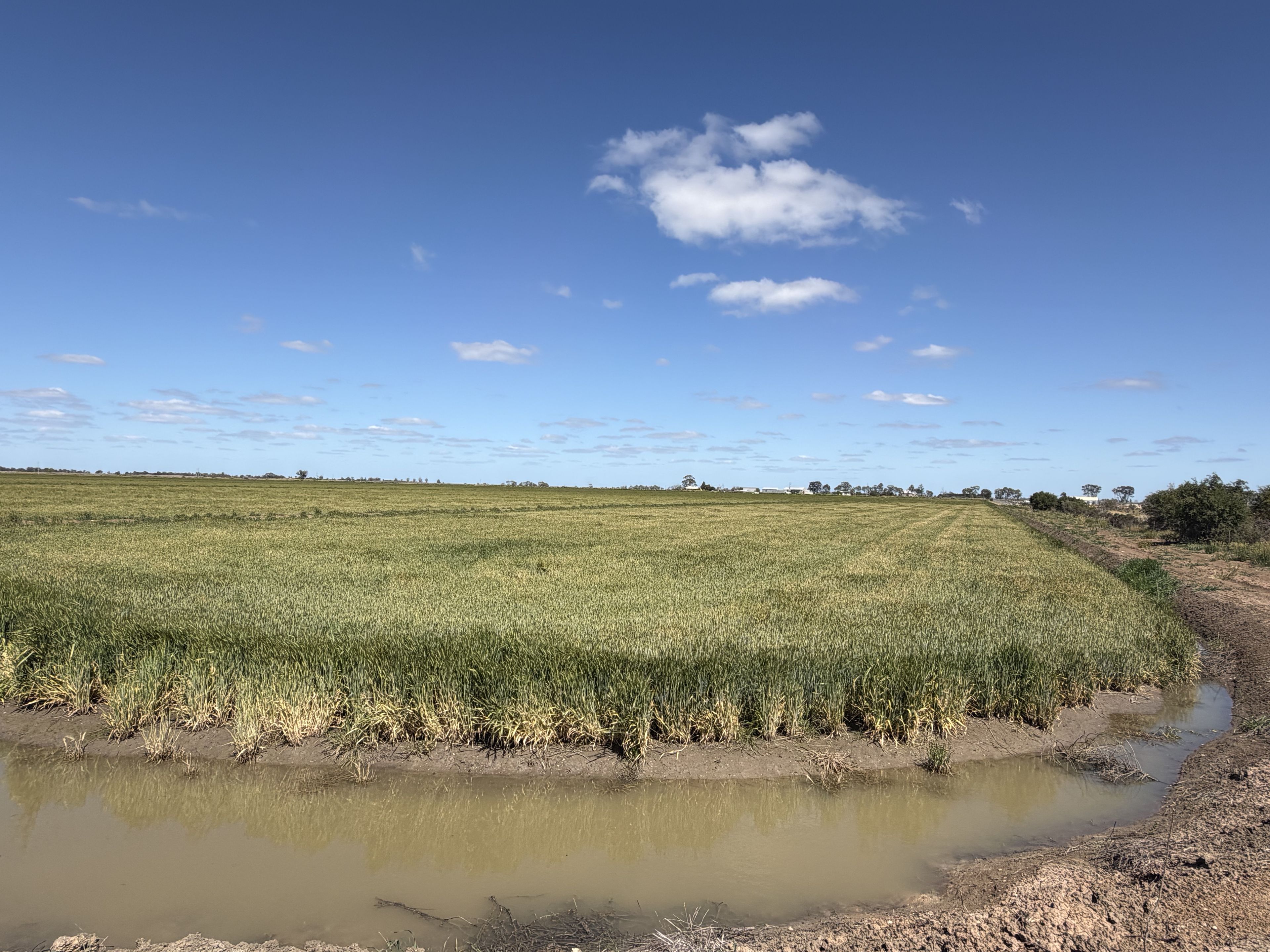 49 Cox Road, Hanwood, NSW 2680