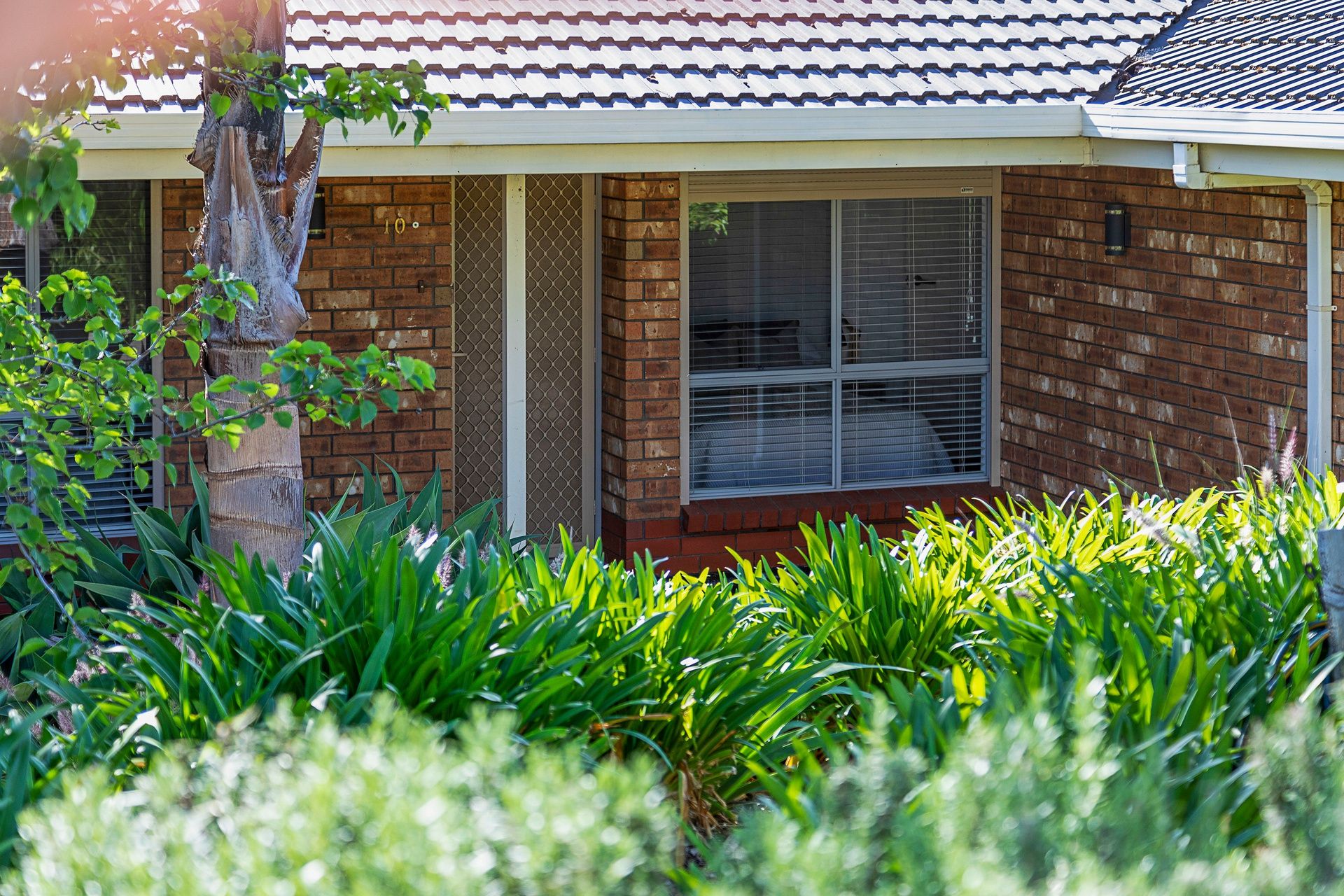 10 Blair Park Drive, Craigmore, SA 5114