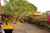 19 Hollydale Grove photo 9