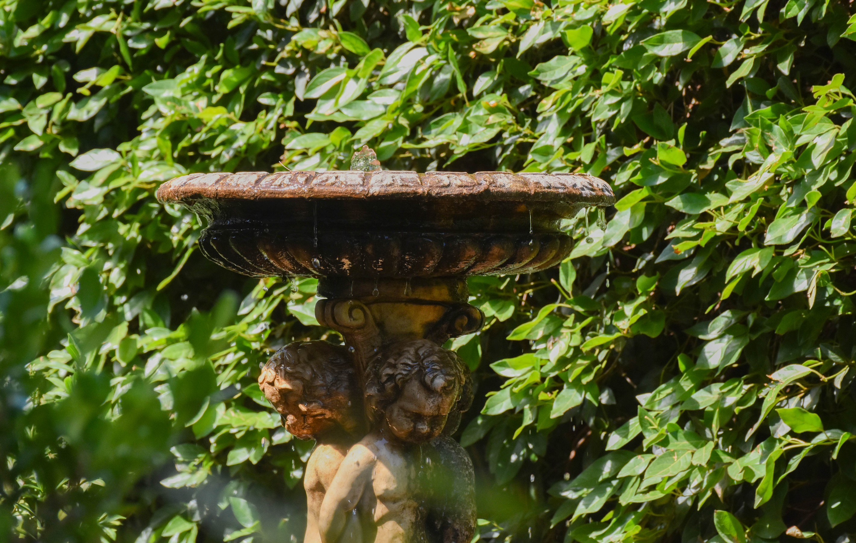 67 Church Street, Parkes, NSW 2870