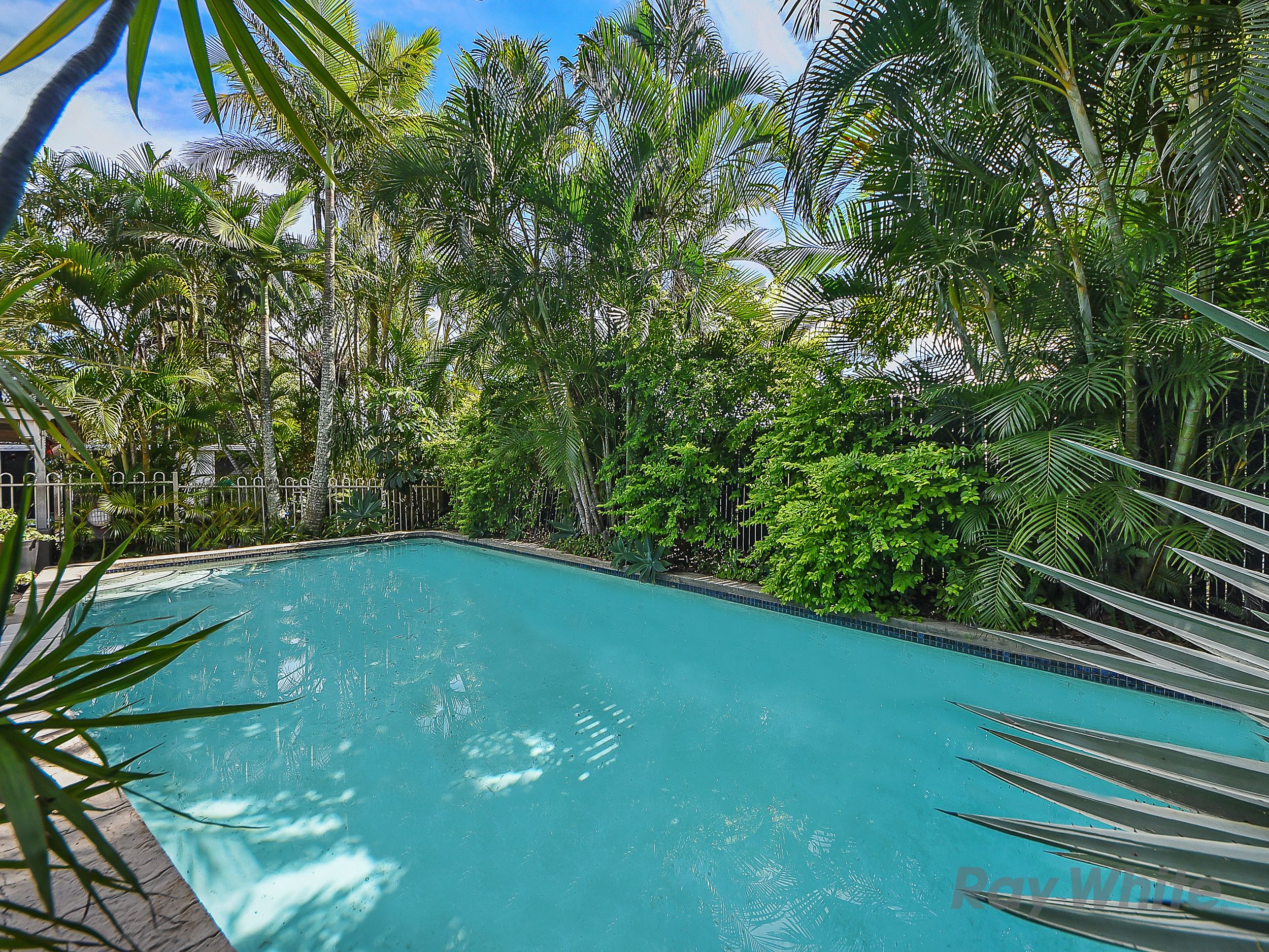 98 Norris Road, Bracken Ridge, QLD 4017
