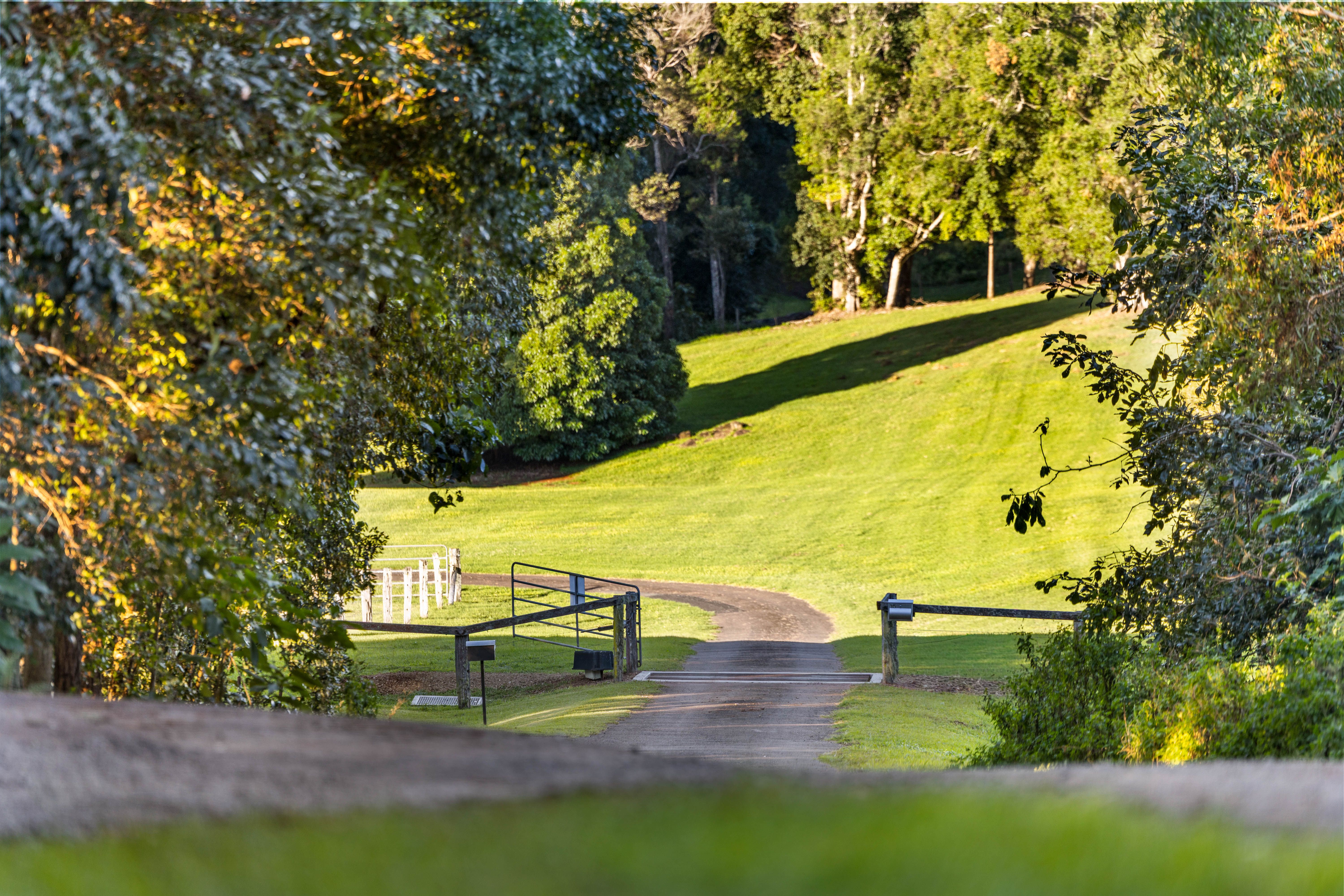 15 Mitchell Lane, Witta, QLD 4552