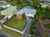 3 Pikitea Road photo 1