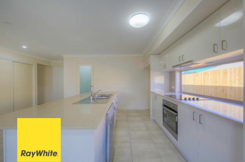 36 Hollyoak Crescent, Pimpama, QLD 4209