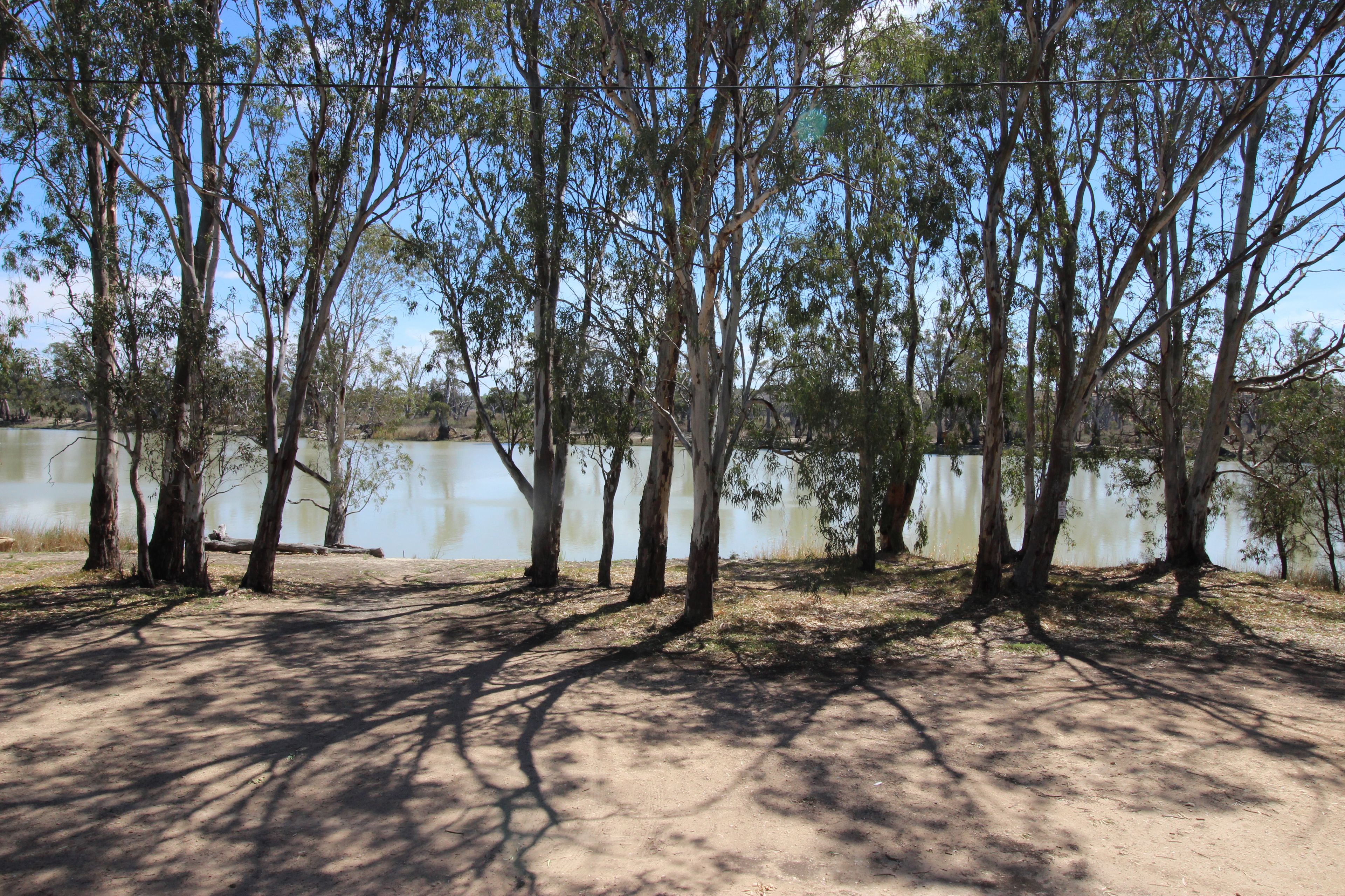3 Whalland Court, Blanchetown, SA 5357
