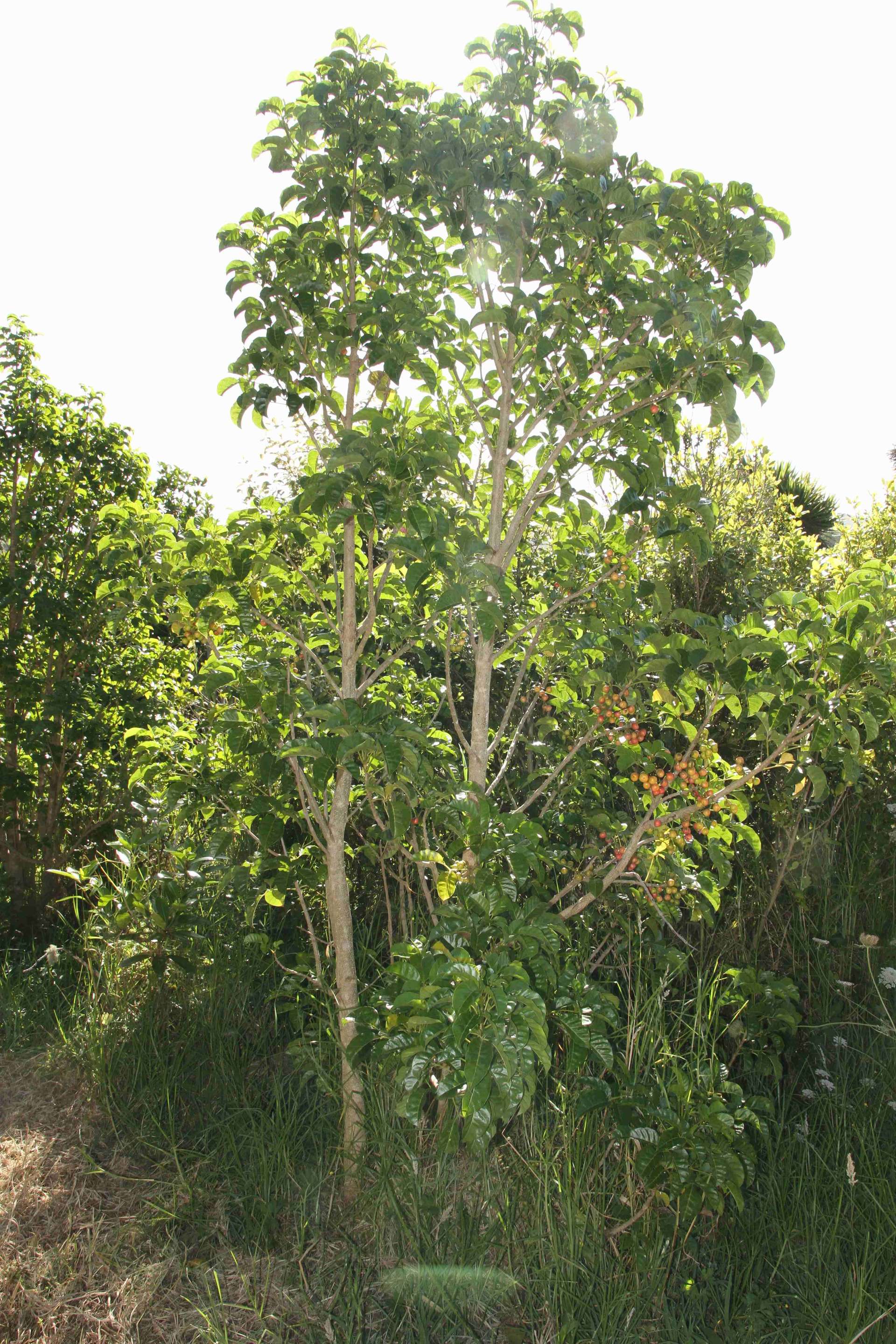 Lot 1 State Highway 10 photo 16