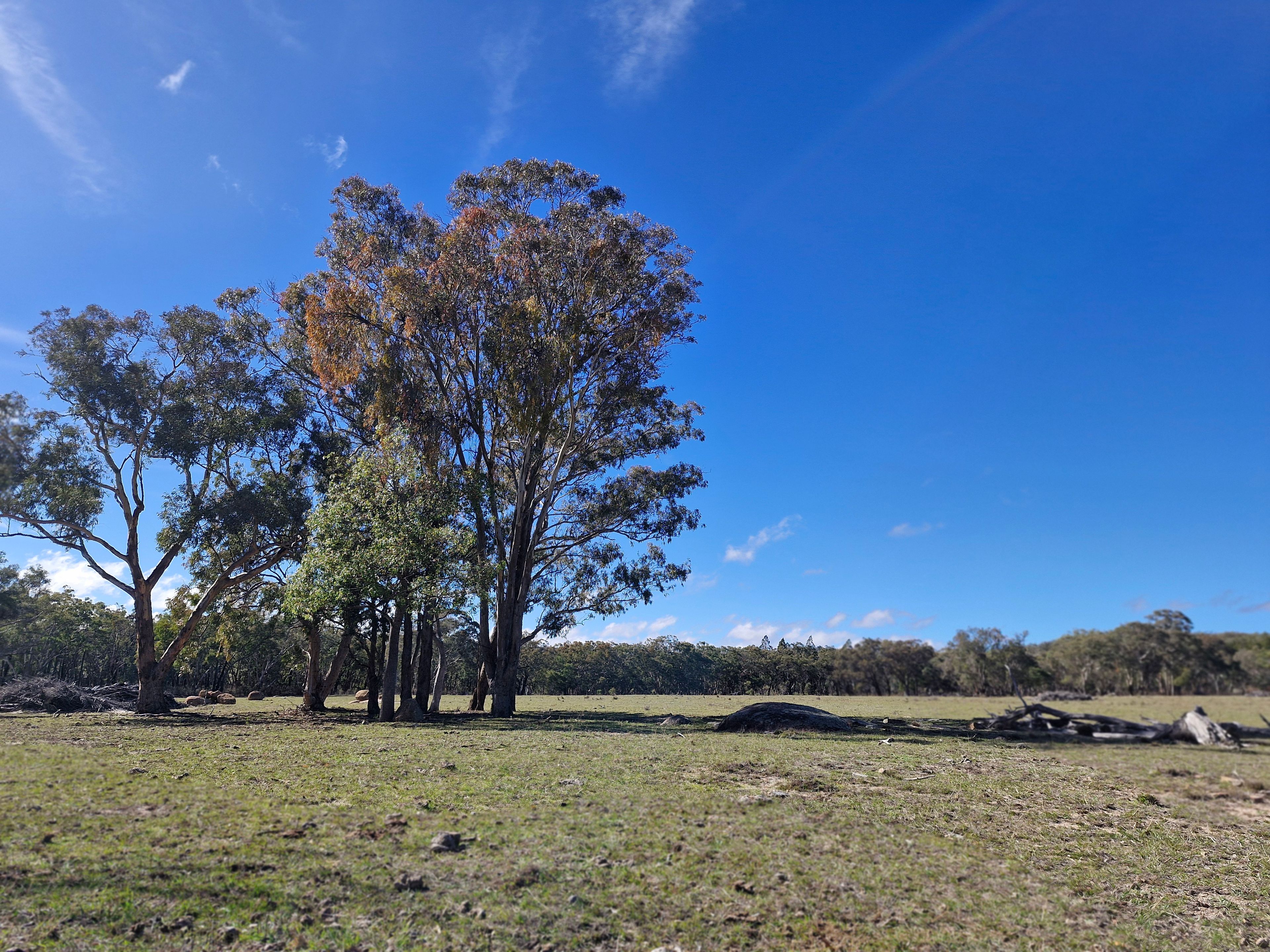 Lot 42 Ravensmoor Road — photo 8 of 13