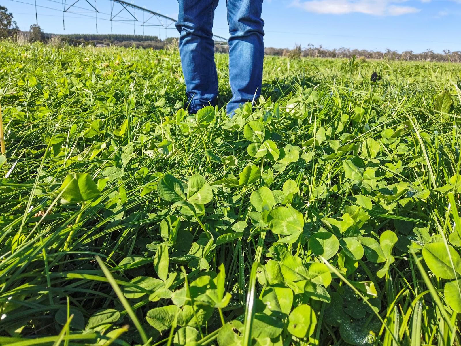 140 Savins Road, Condah, VIC 3303