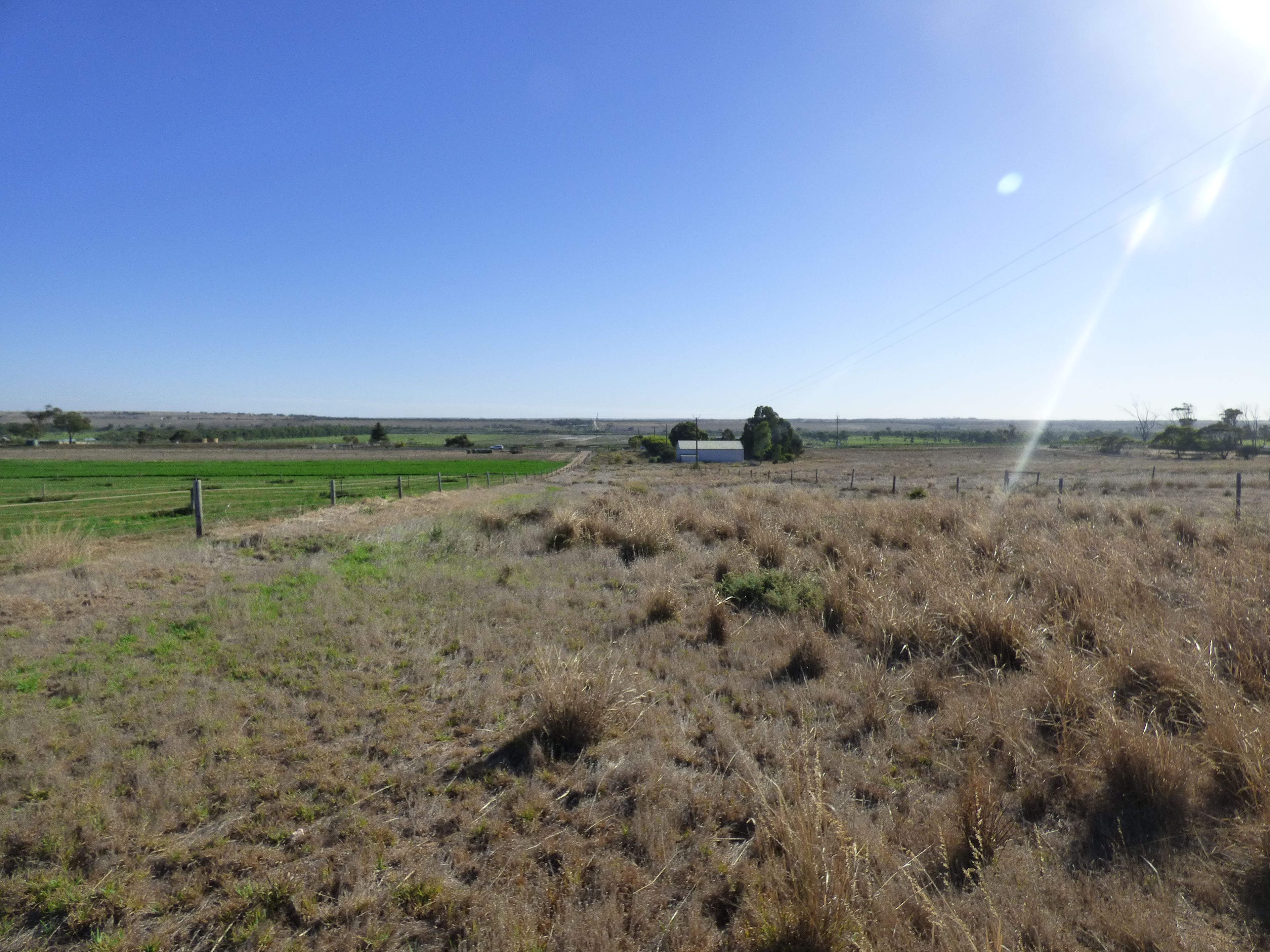 Lot 358 Jervois Road, Woods Point, SA 5253