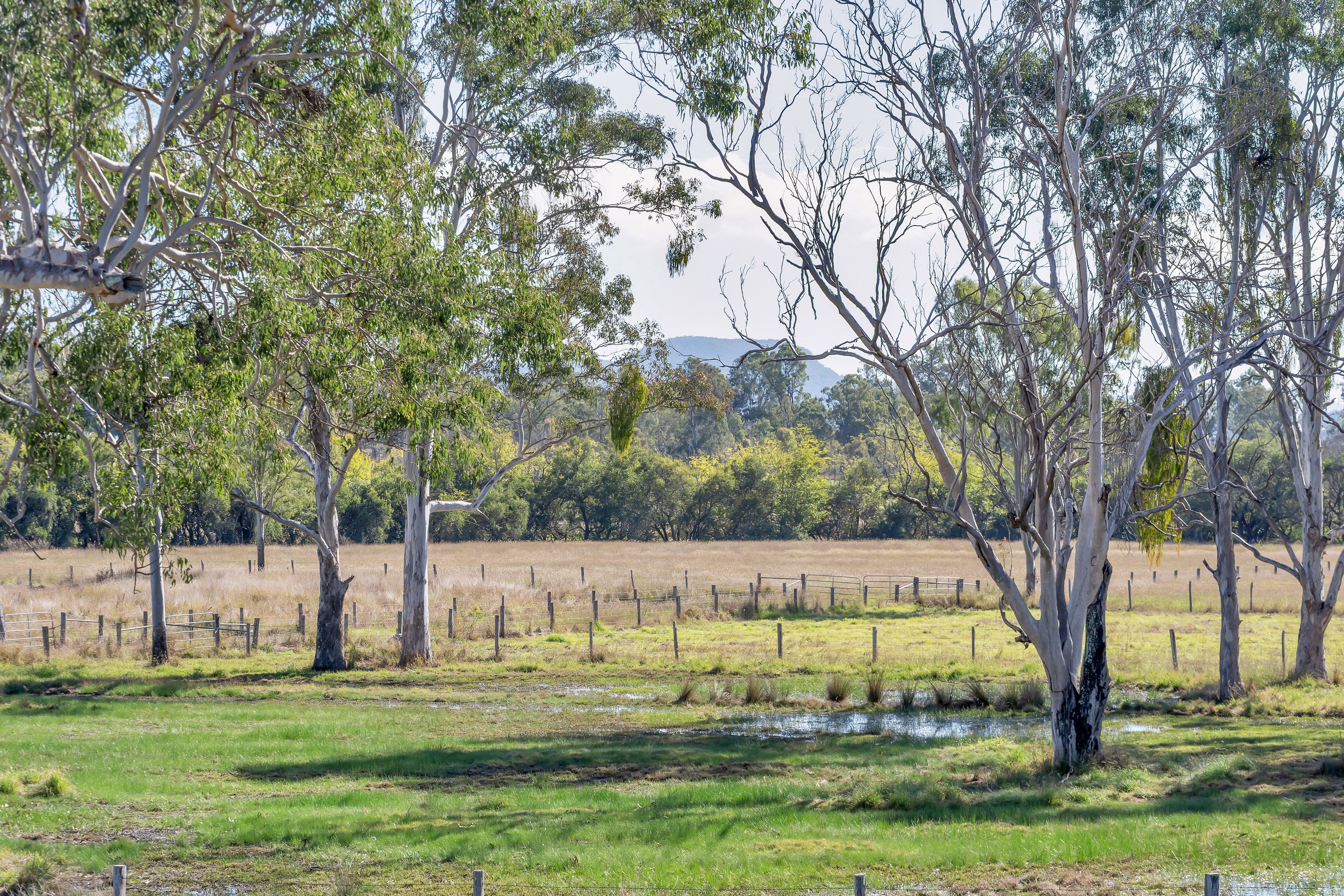 1578 Boonah Rathdowney Road — photo 17 of 30