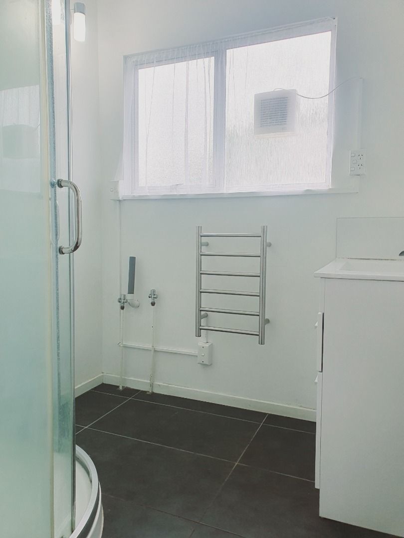 Sandringham, Auckland City