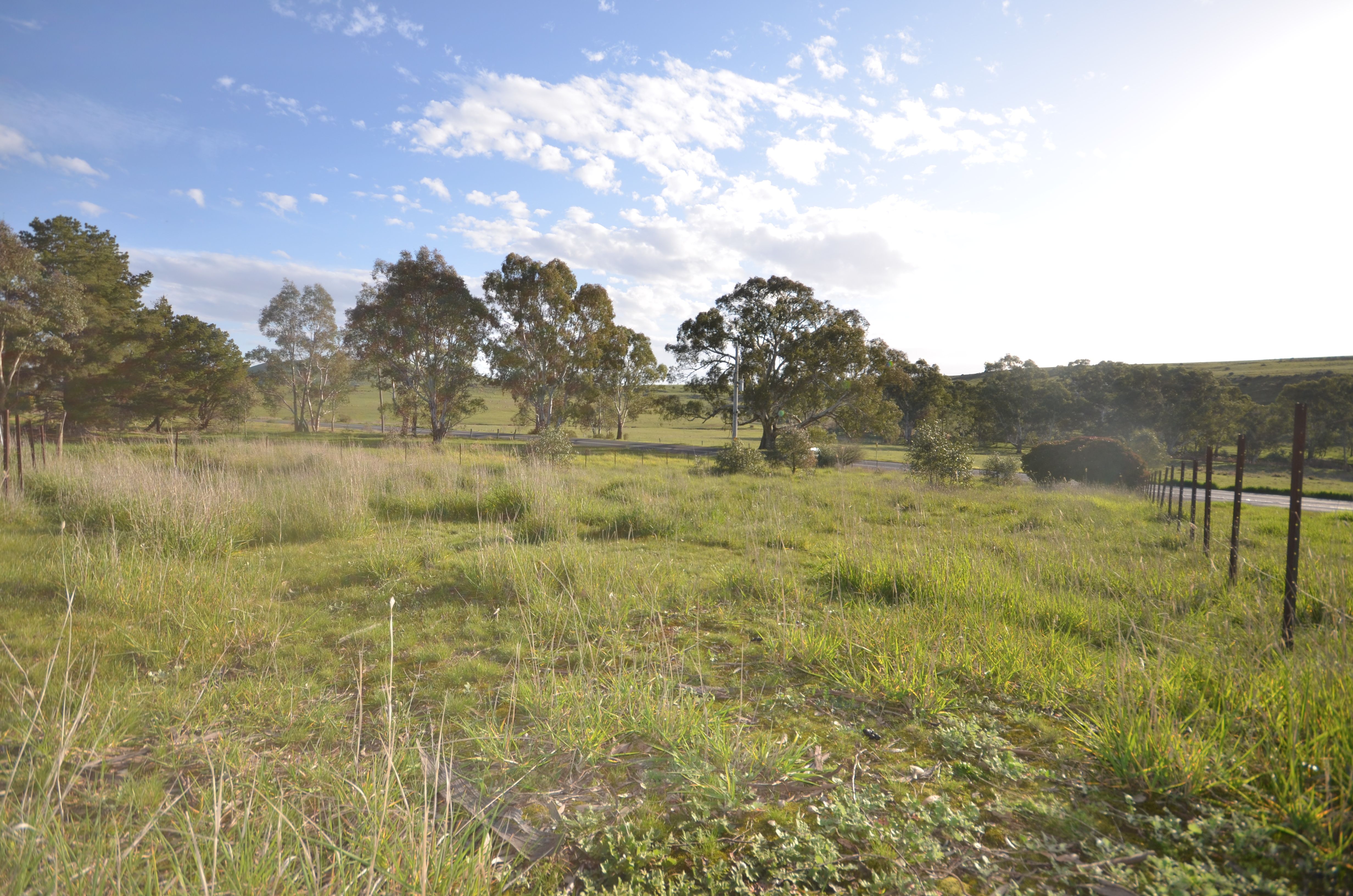 1381 McCallums Creek Road, Red Lion, VIC 3371