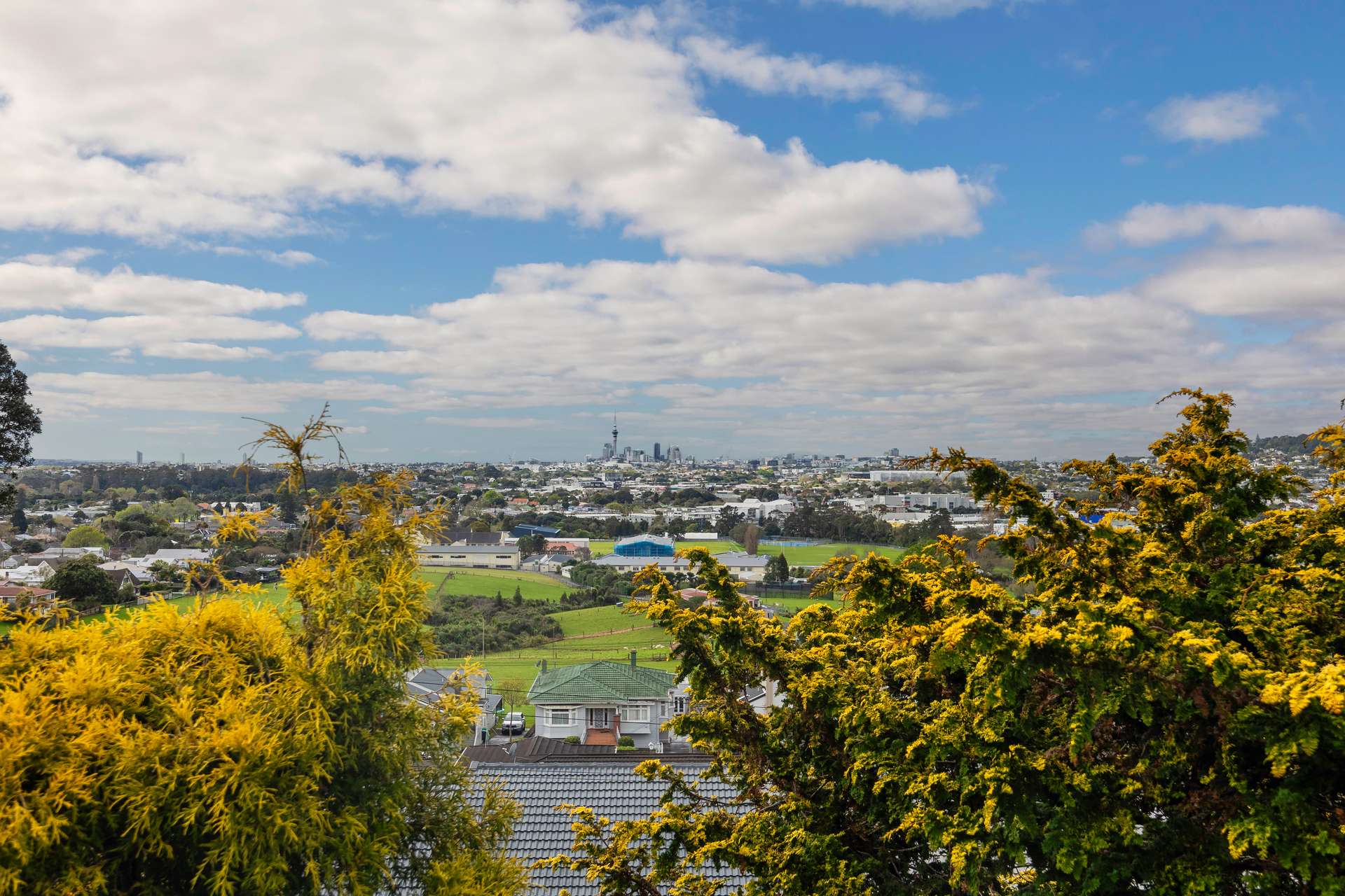 83 Mount Albert Road photo 7