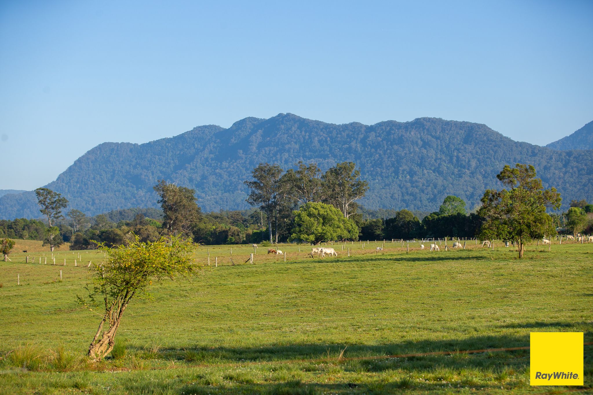 1531 Waterfall Way , Bellingen NSW 2454