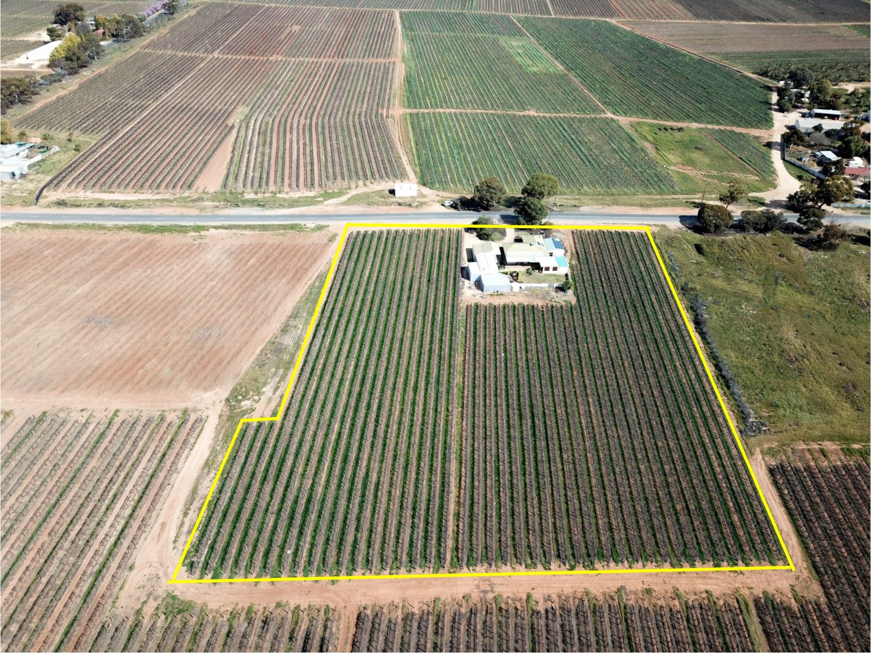 262 Balfour Ogilvy Avenue, Loxton North, SA 5333