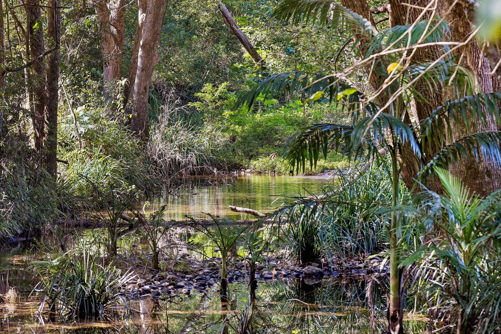 315 Upper Crystal Creek Road, Upper Crystal Creek, NSW 2484