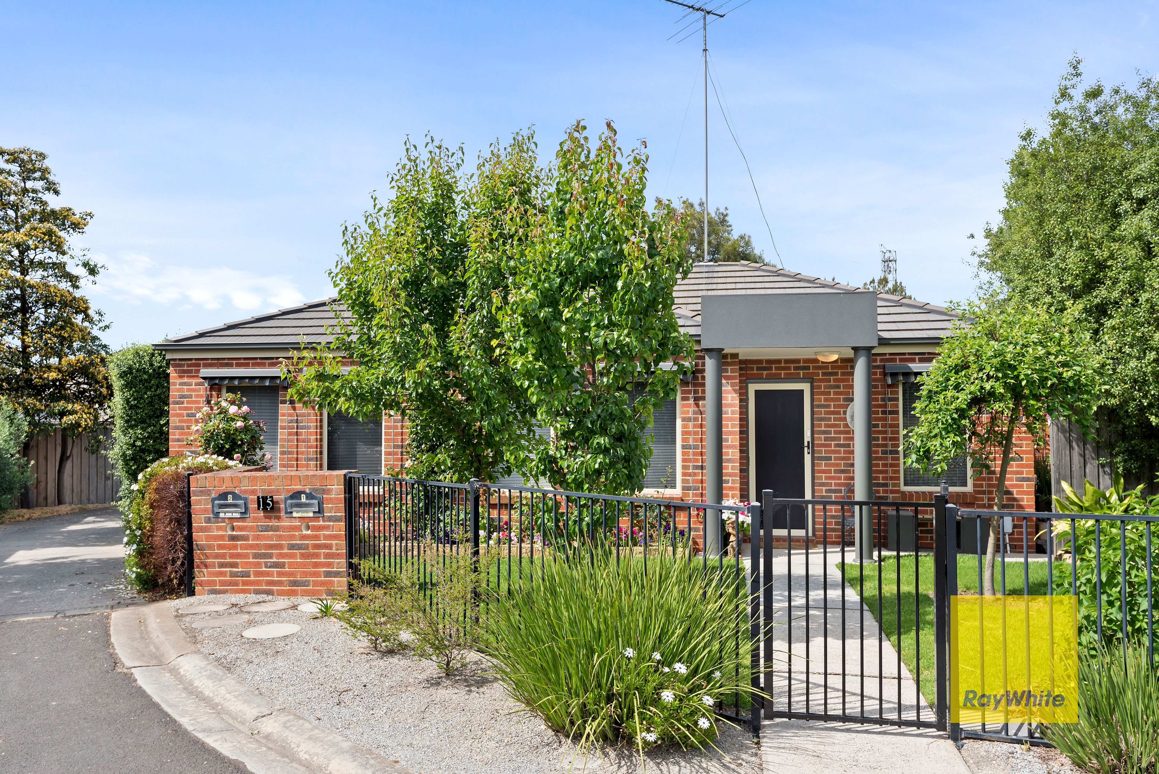 15 Arbour Grove, Belmont VIC 3216