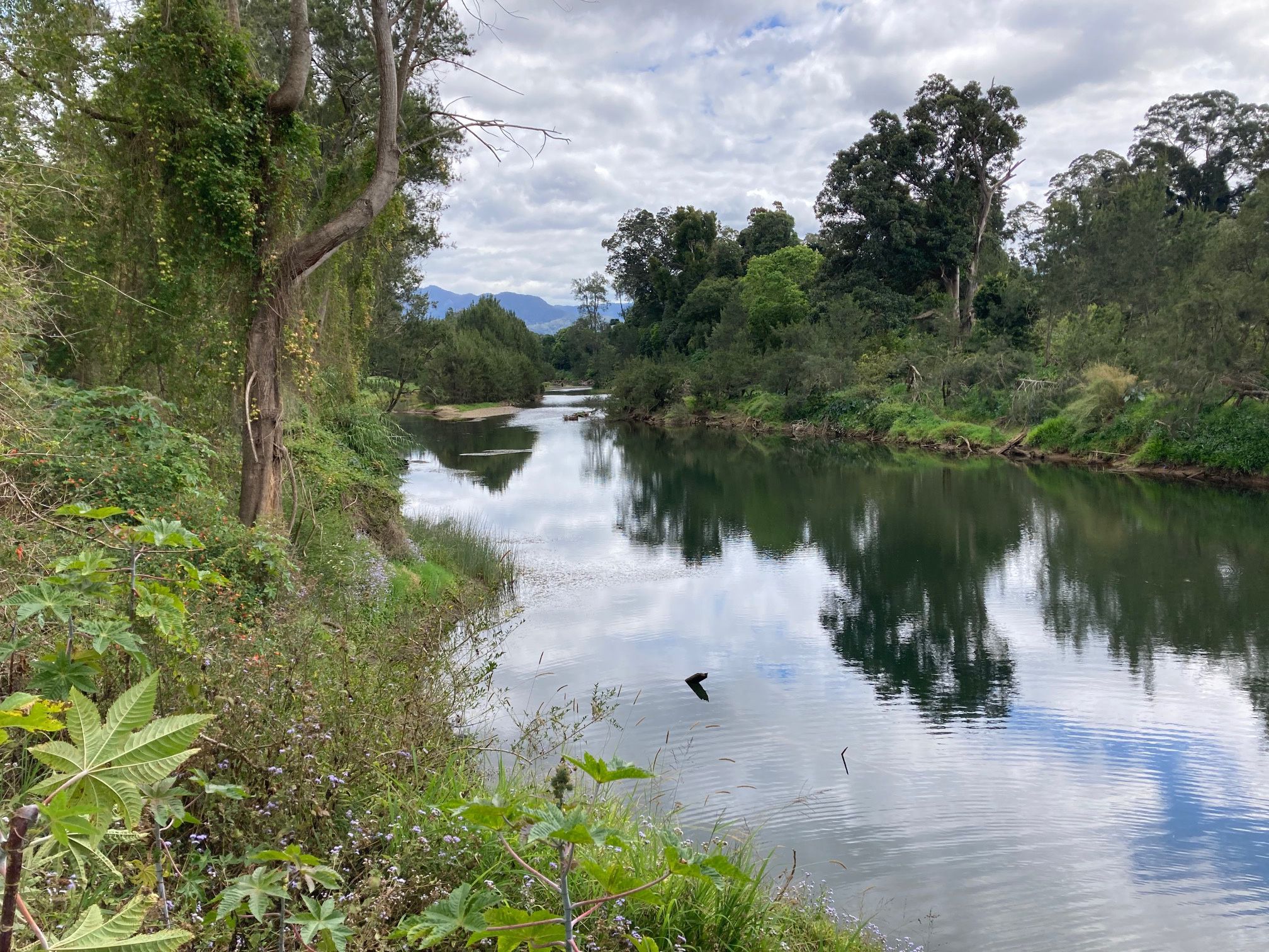 LOT 1 & 163 & 164 River Street, Bellingen, NSW 2454 Land for Sale
