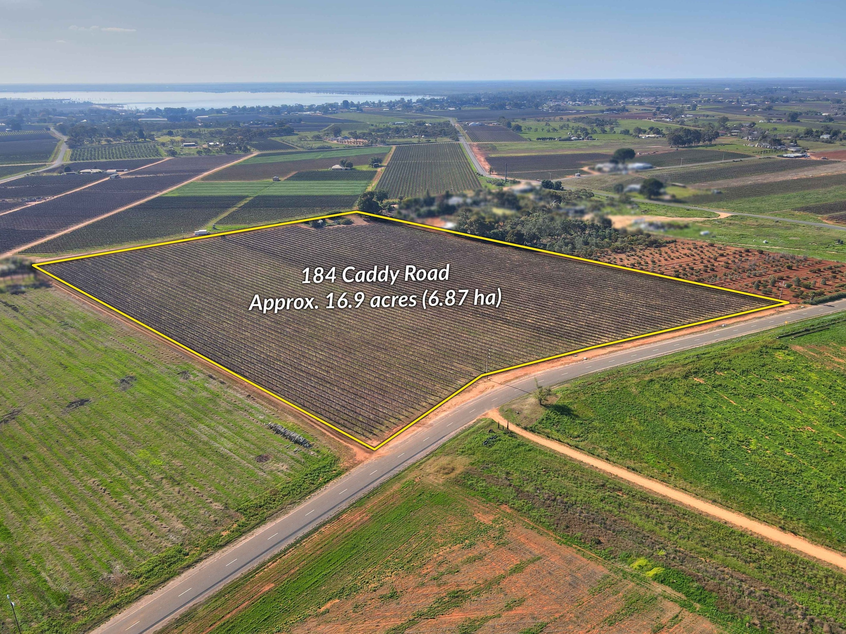 184 Caddy Road, Barmera, SA 5345