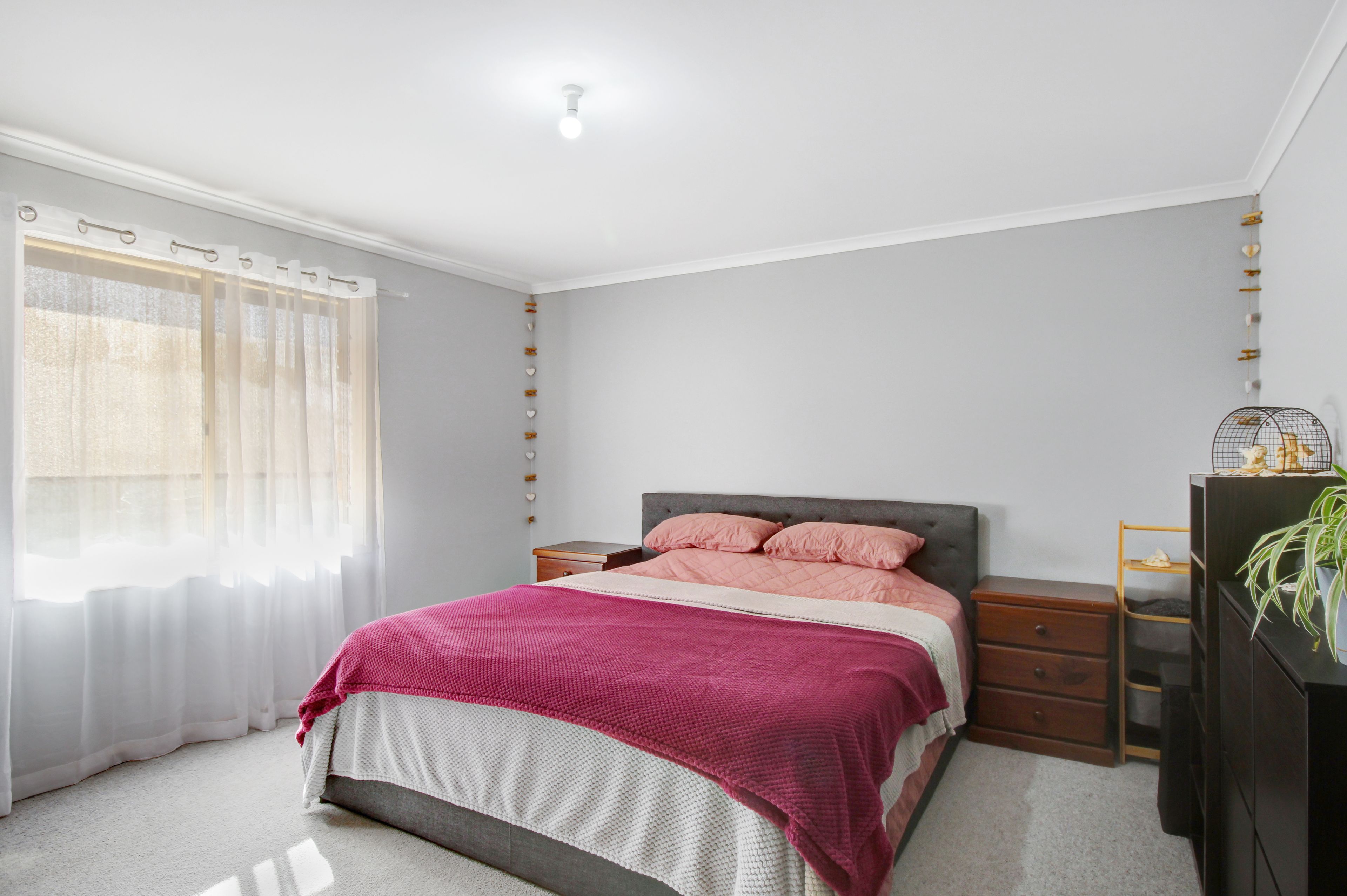 3 Edwards Crescent, Waikerie, SA 5330 House for Sale Ray White