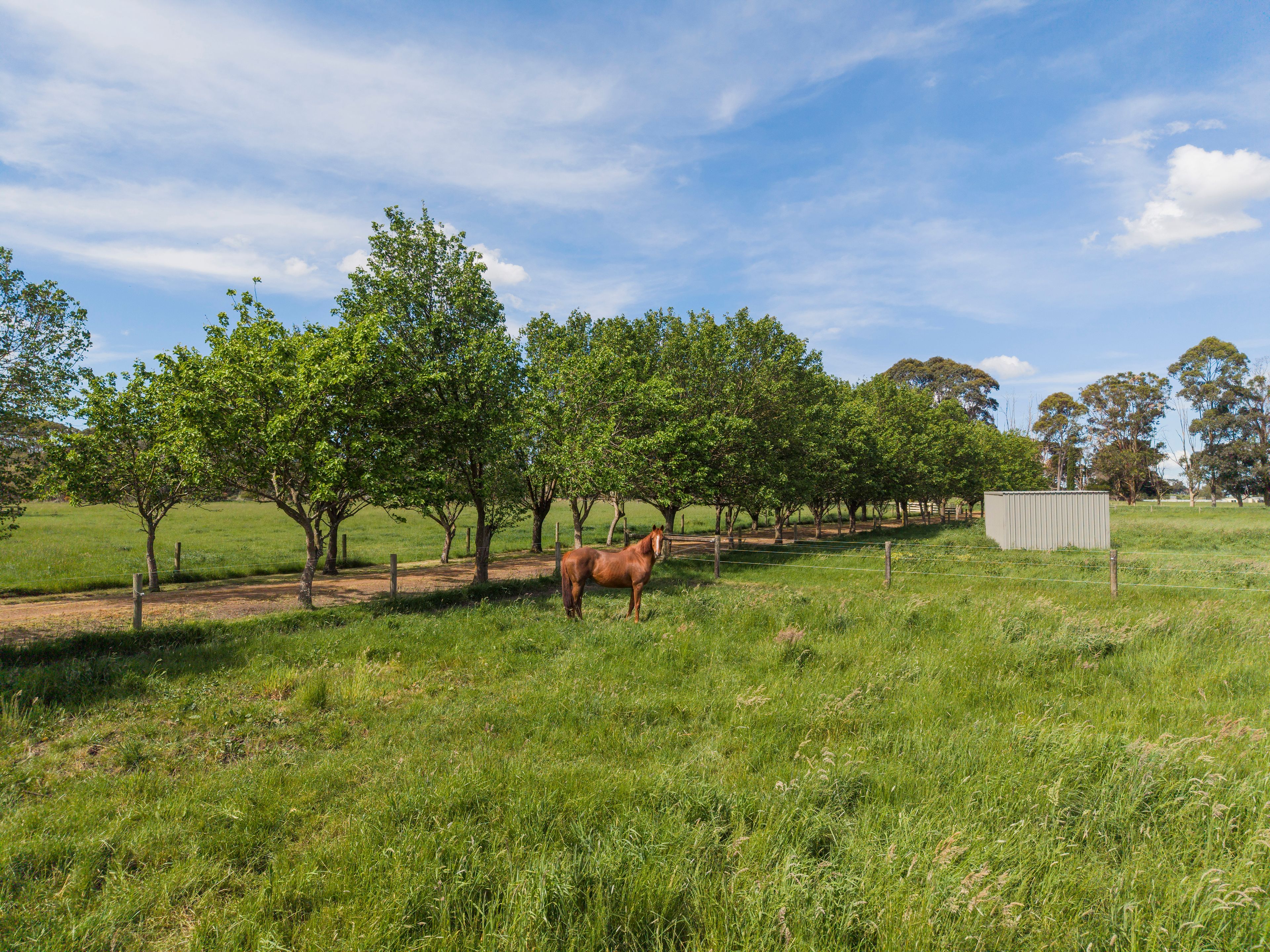 Lot 19 Farys Road — photo 5 of 13