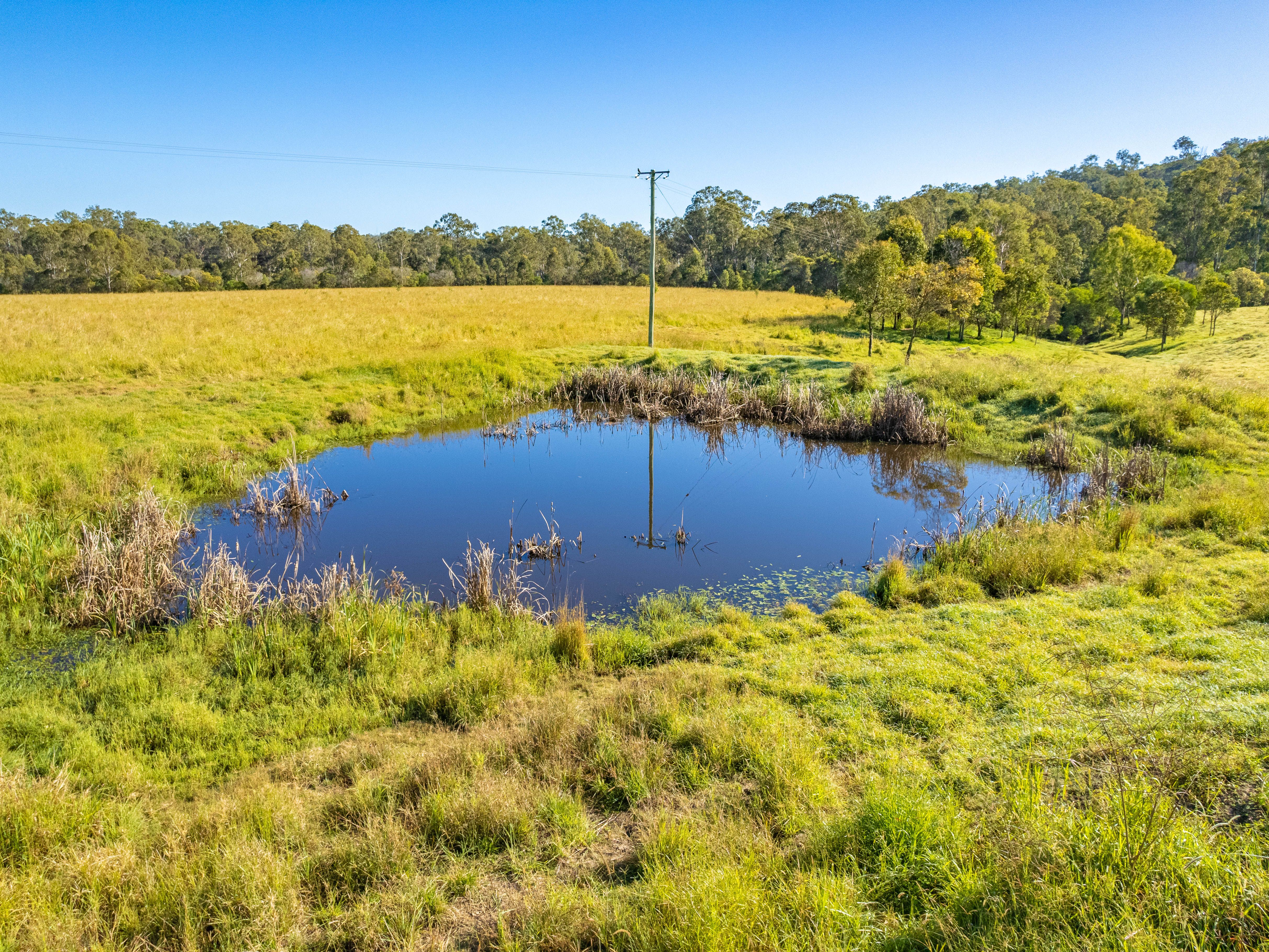 290 Jessens Road Mt Urah, Tiaro, QLD 4650 Sold Rural Livestock