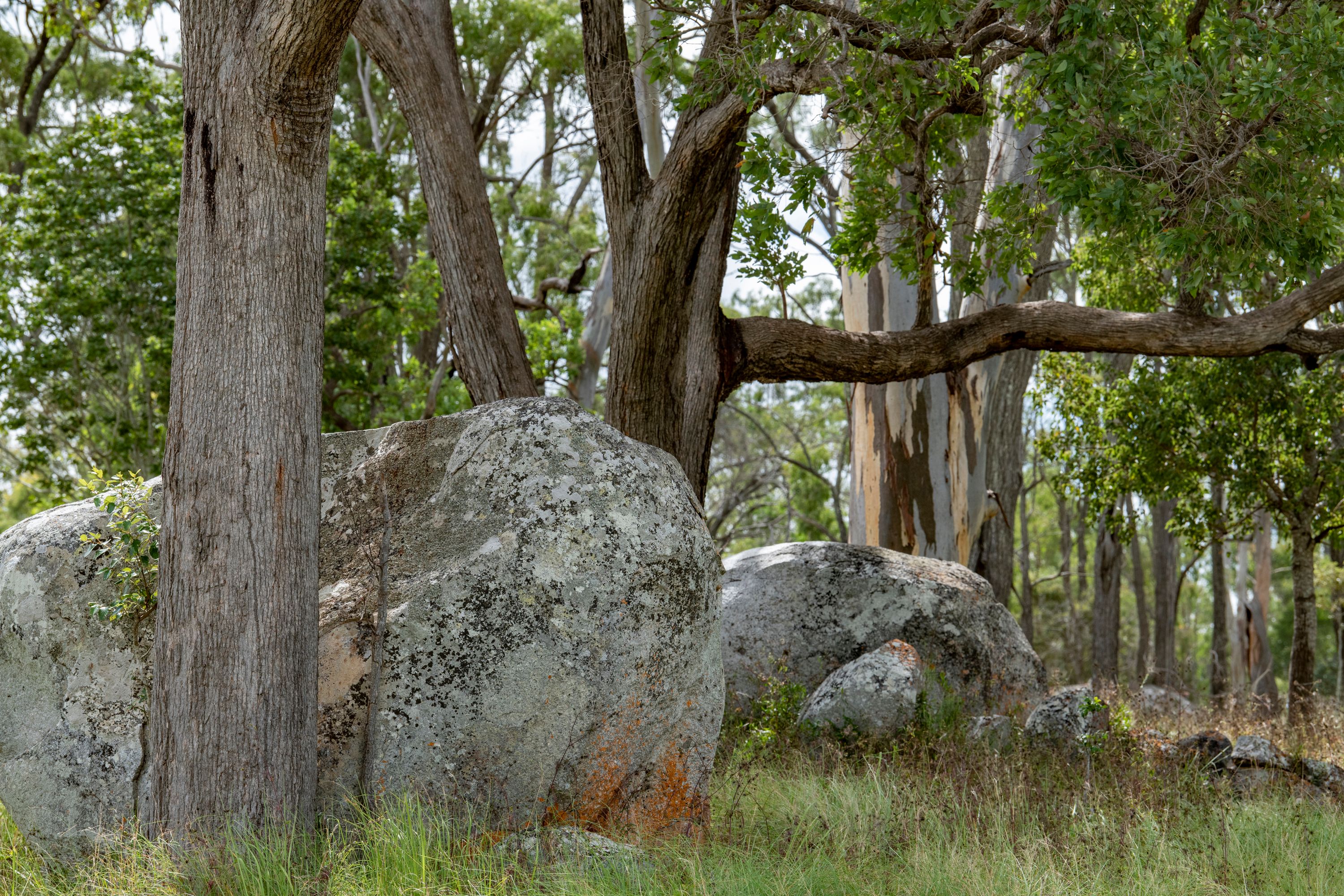 "Sold by Ian Newson Ray White Mundubbera" 9807 Bunya Highway