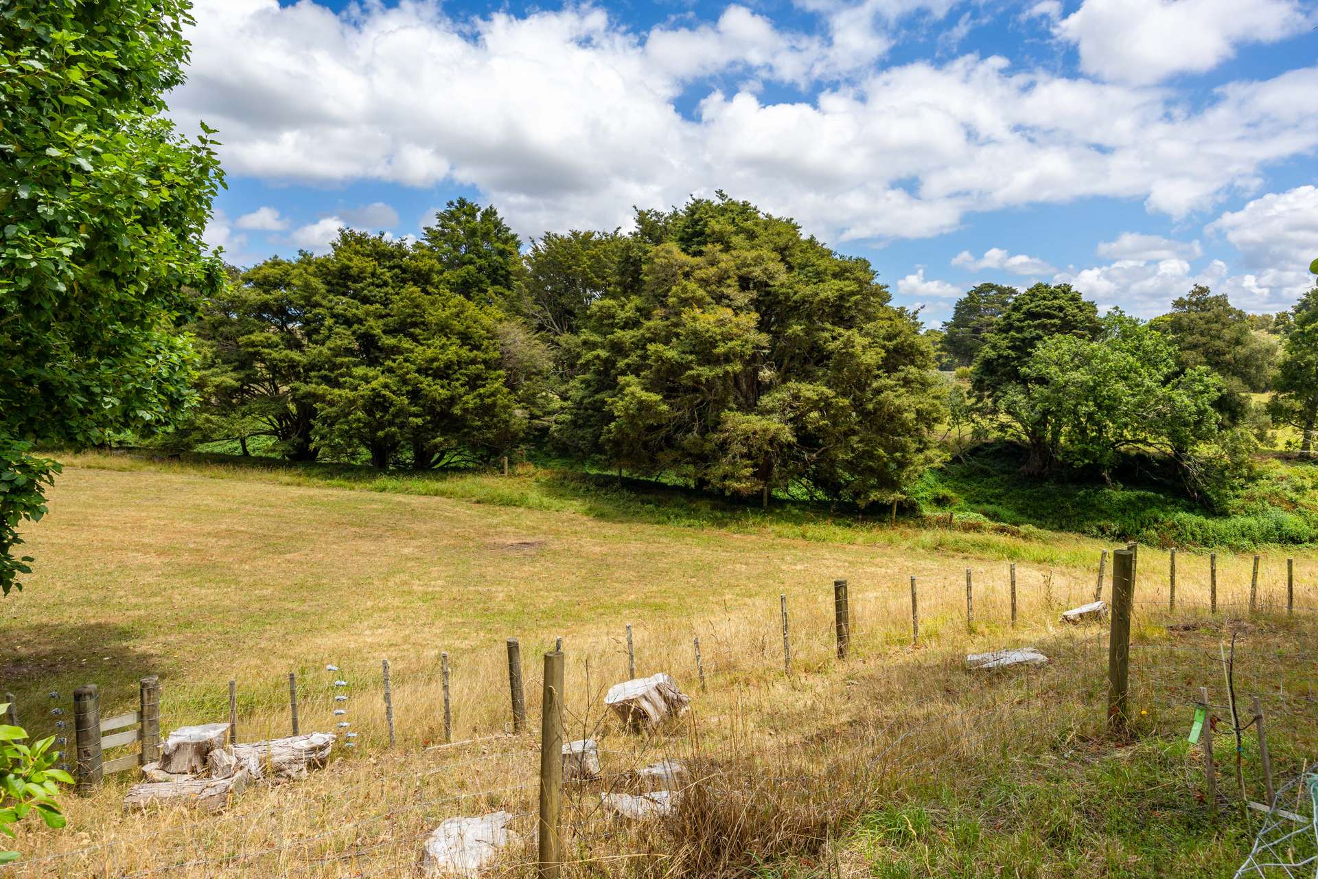 196 Tomarata Valley Road photo 28