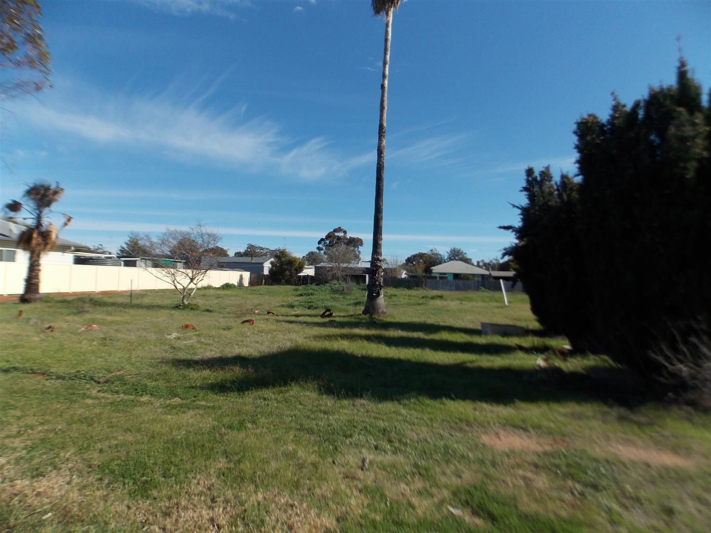 14-16 Junction Street, Parkes, NSW 2870