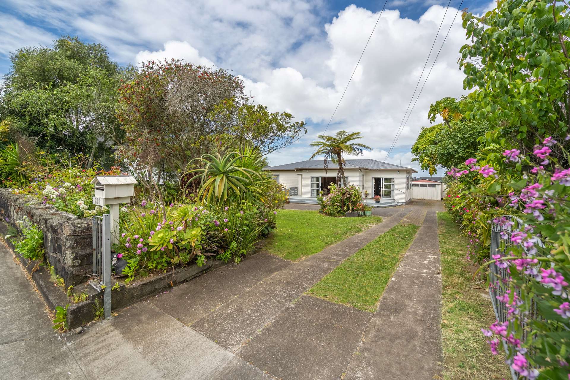 245 Campbell Road photo 6