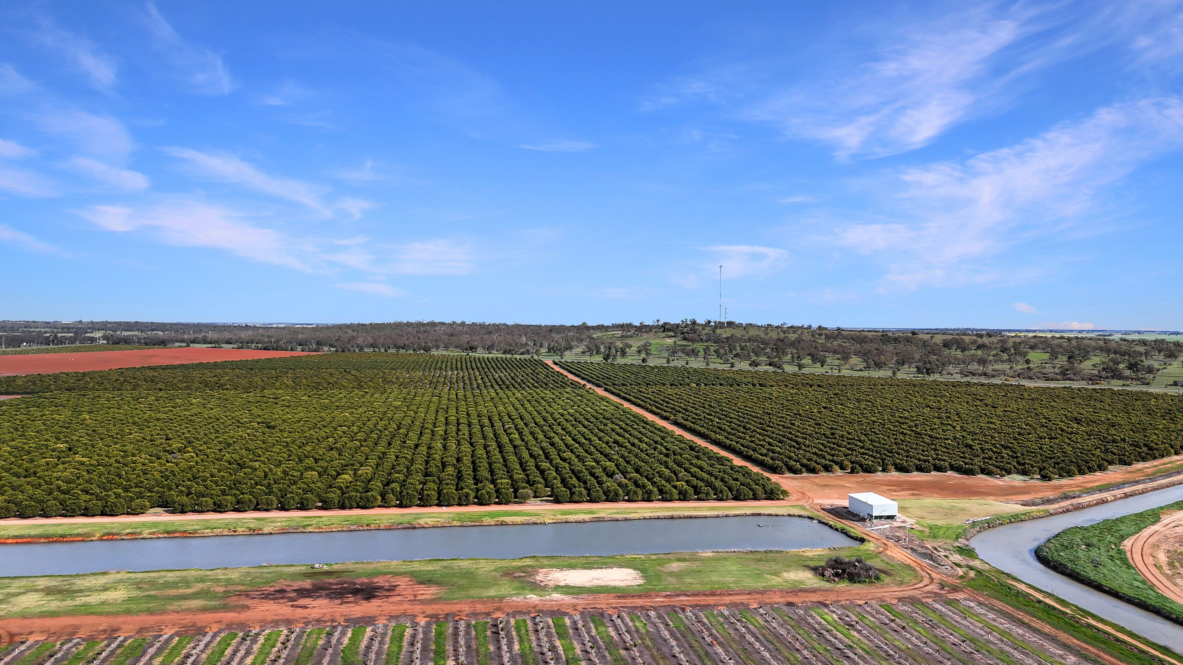 3977 Irrigation Way, Widgelli, NSW 2680