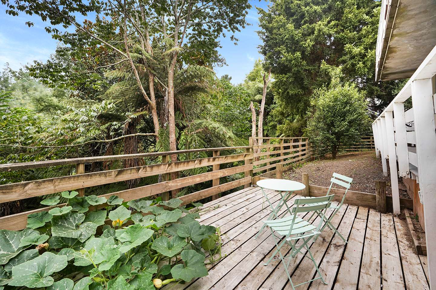 29A Tomin Road photo 13