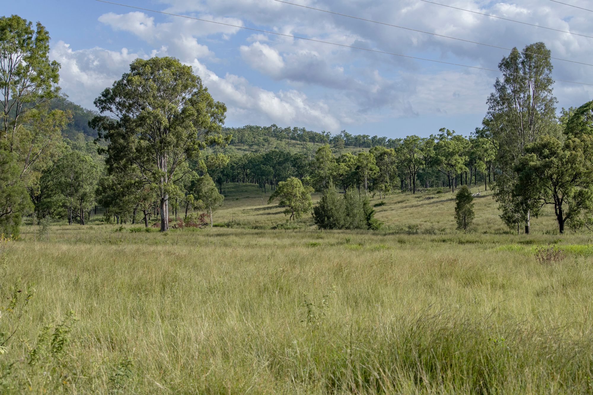 Serpentine Creek Wide Bay Highway, Woolooga, QLD 4570 Sold Rural