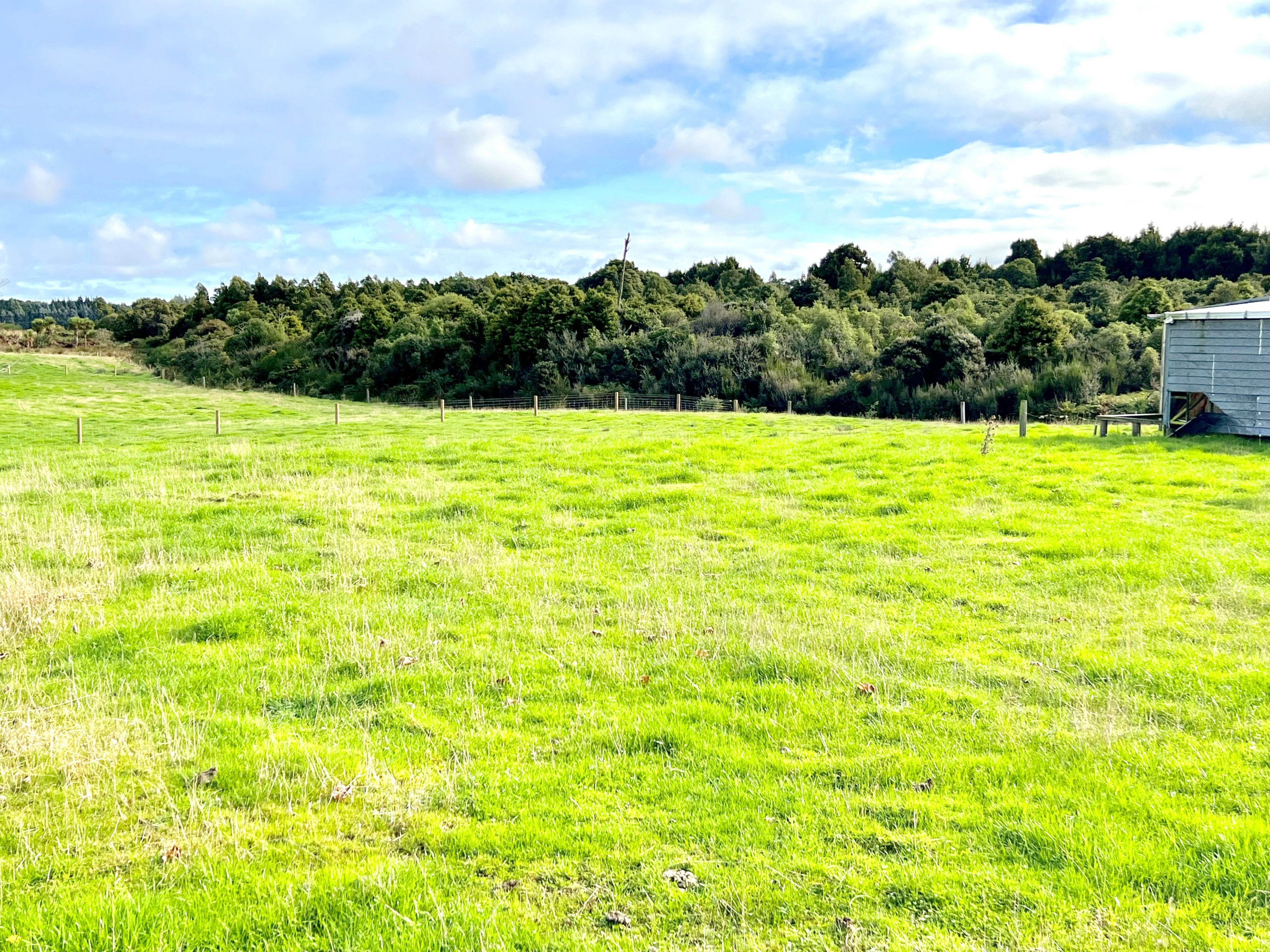 175 Mason Road, Seaward Bush, Invercargill