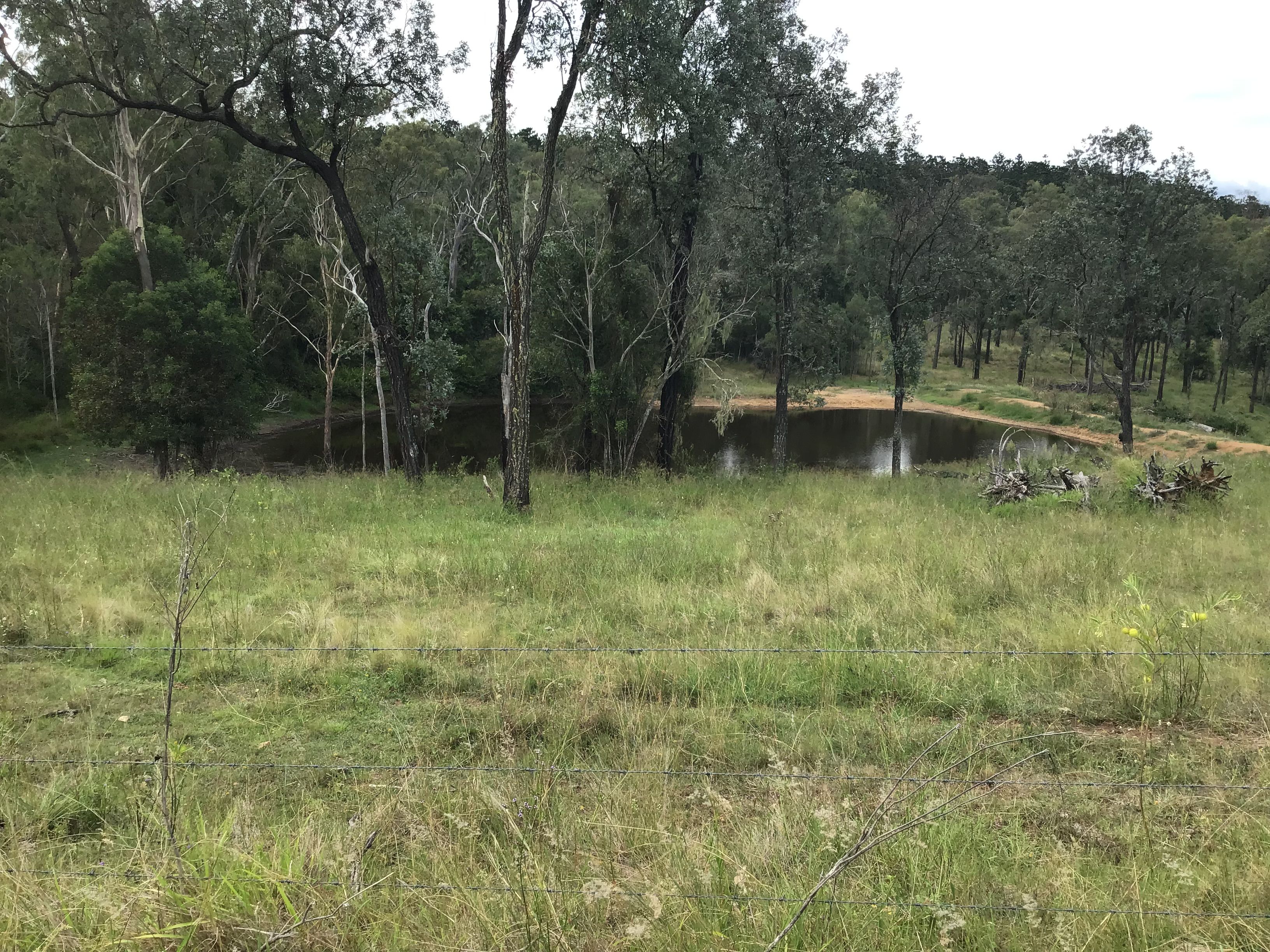 LOT 54 Gibsons Road, Yarraman, QLD 4614 Rural Property for Sale Ray