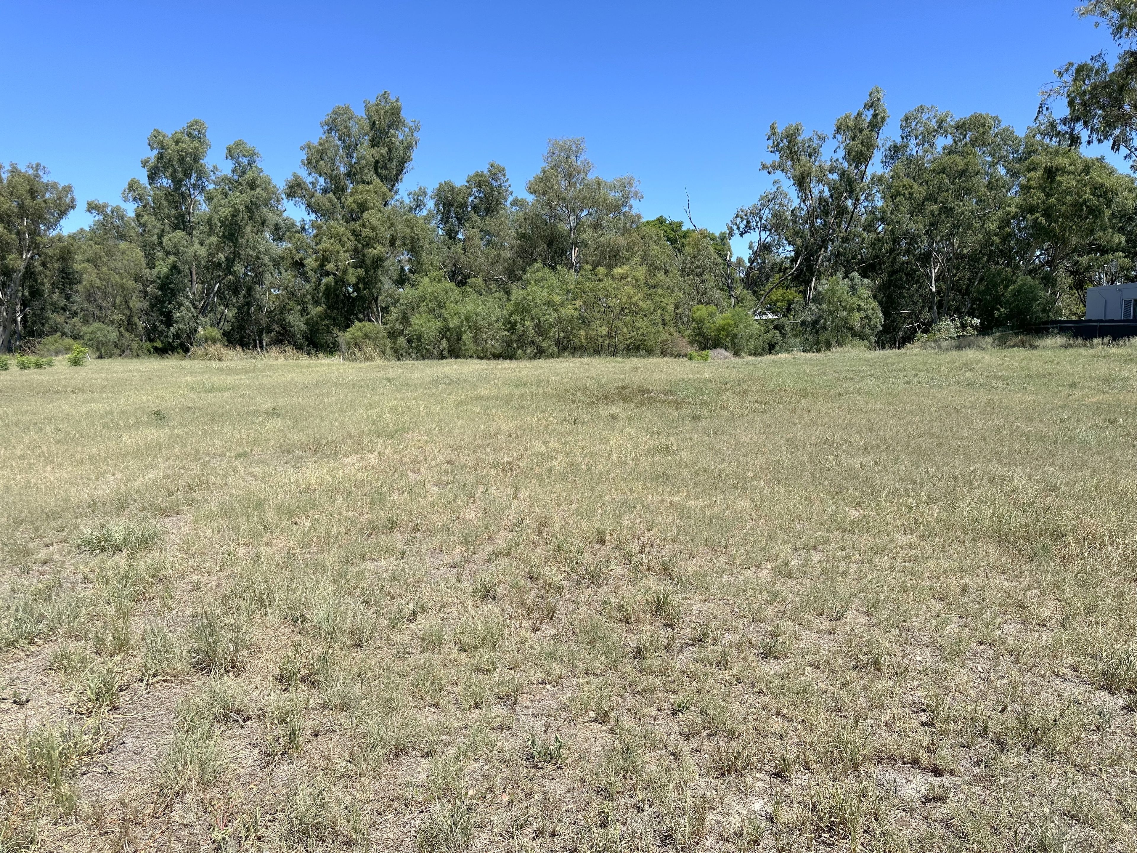 4 Olive Crescent, Moree, NSW 2400