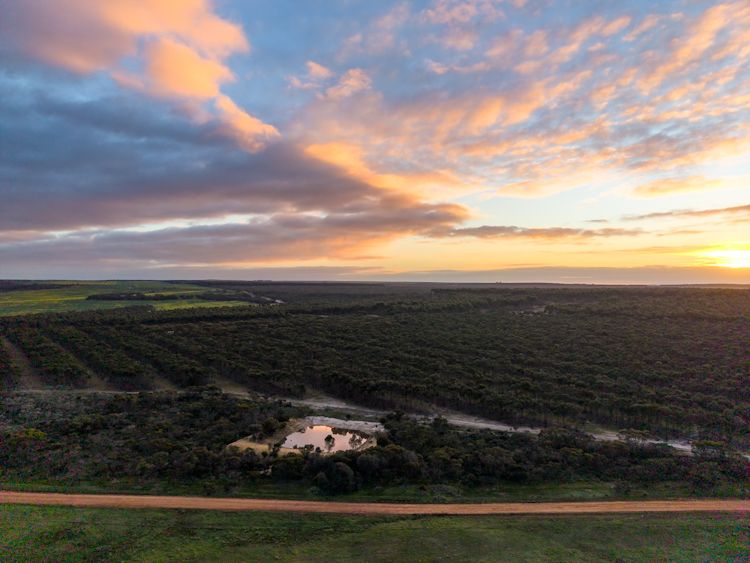 Lot 1895 Pallinup River Estate, Boxwood Hill, WA 6338