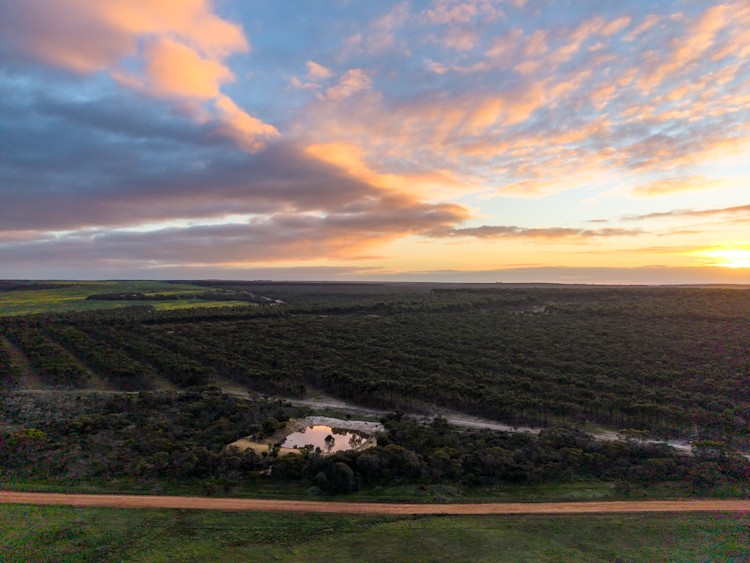Lot 1895 Pallinup River Estate, Boxwood Hill, WA 6338