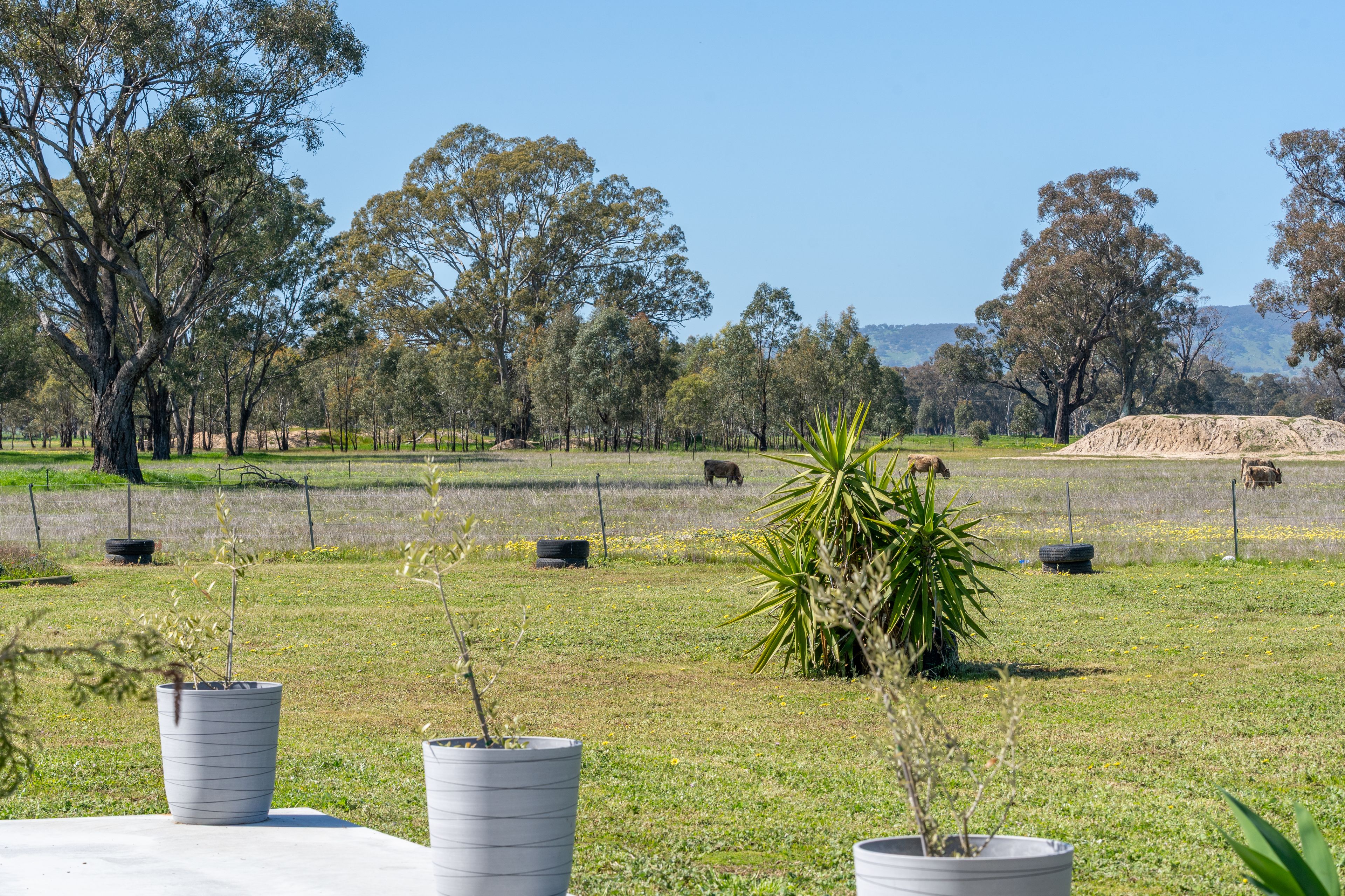 613 Old Euroa Road — photo 30 of 30