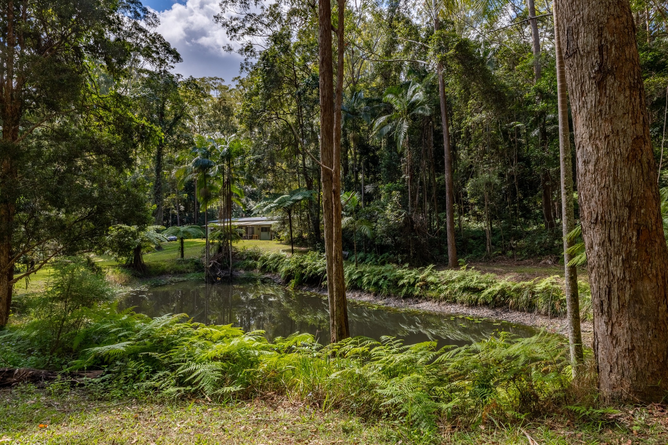 200 Flaxton Mill Road, Flaxton, QLD 4560