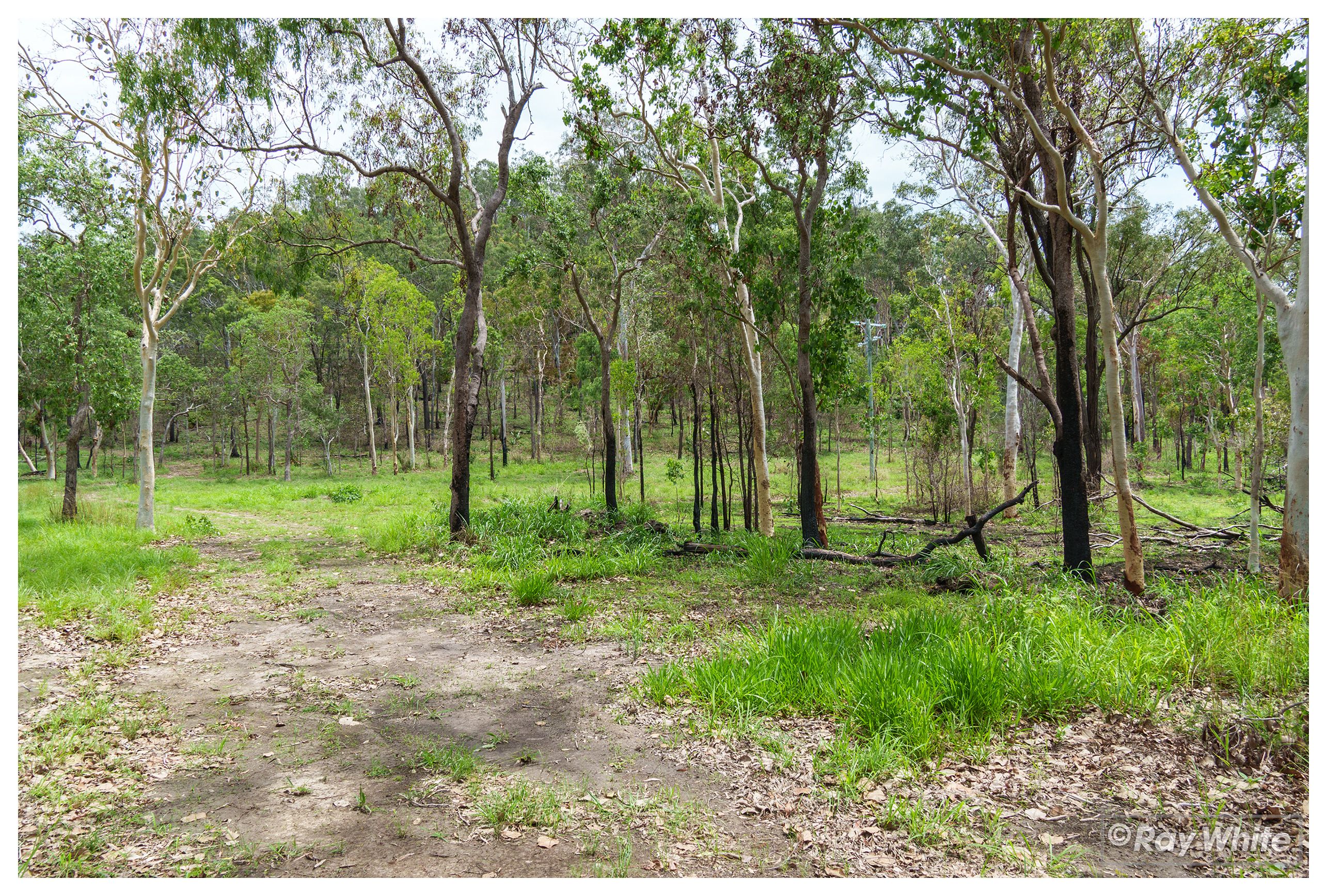 1033 Emu Park Road, Nankin QLD 4701
